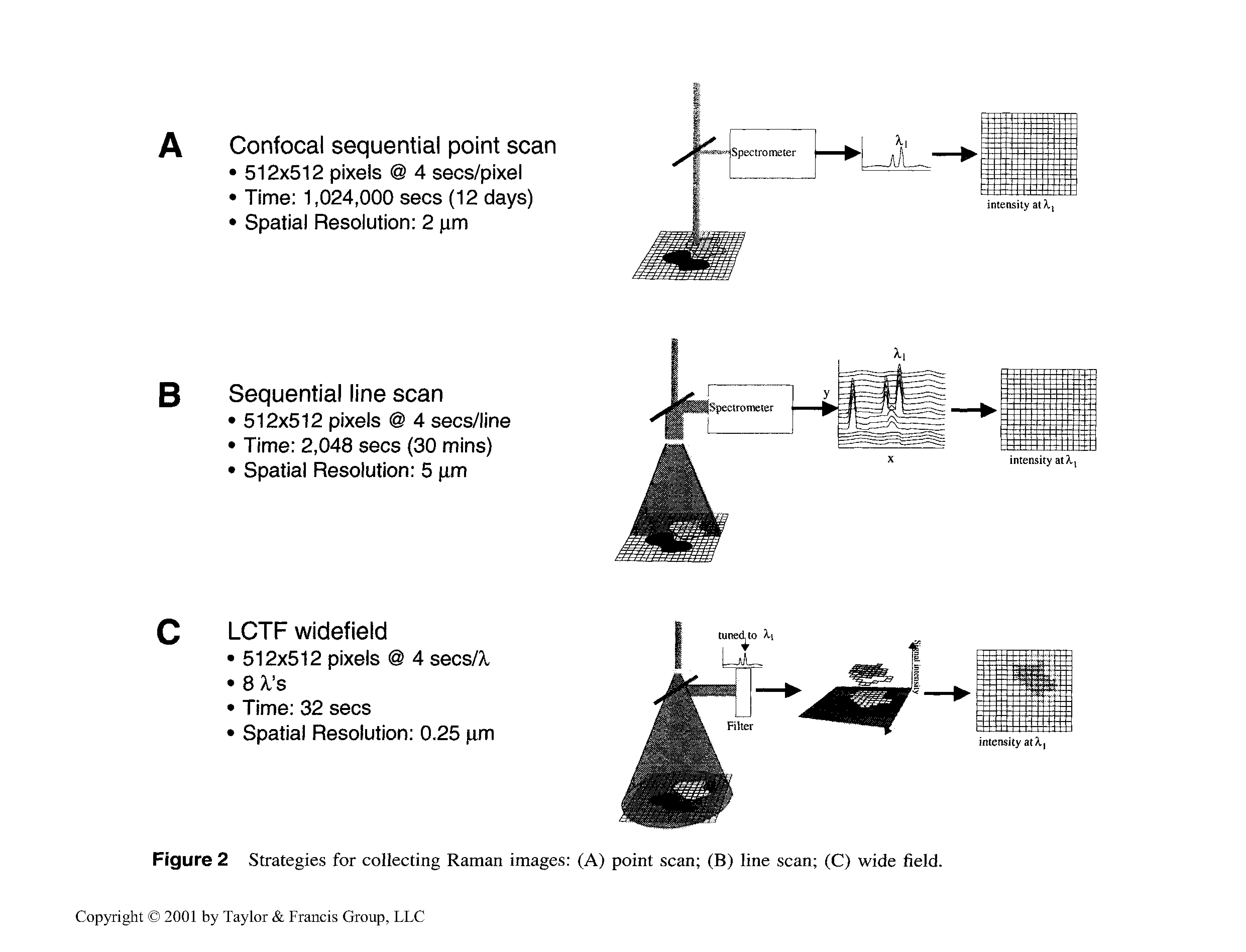 Figure 2 Strategies for collecting Raman images (A) point scan (B) line scan (C) wide field.