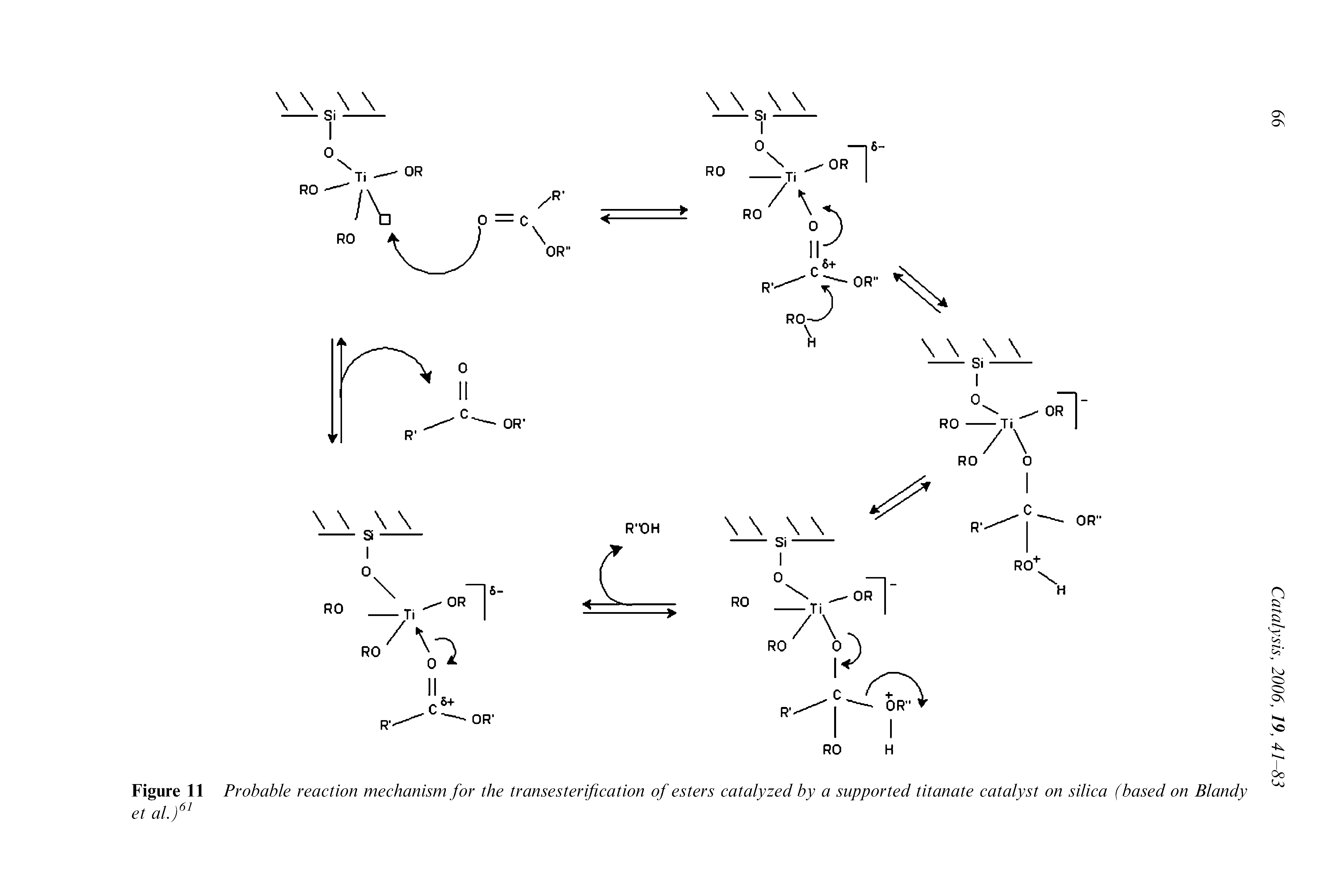 Figure 11 Probable reaction mechanism for the transesterification of esters catalyzed by a supported titanate catalyst on silica (based on Blandy et al.f ...