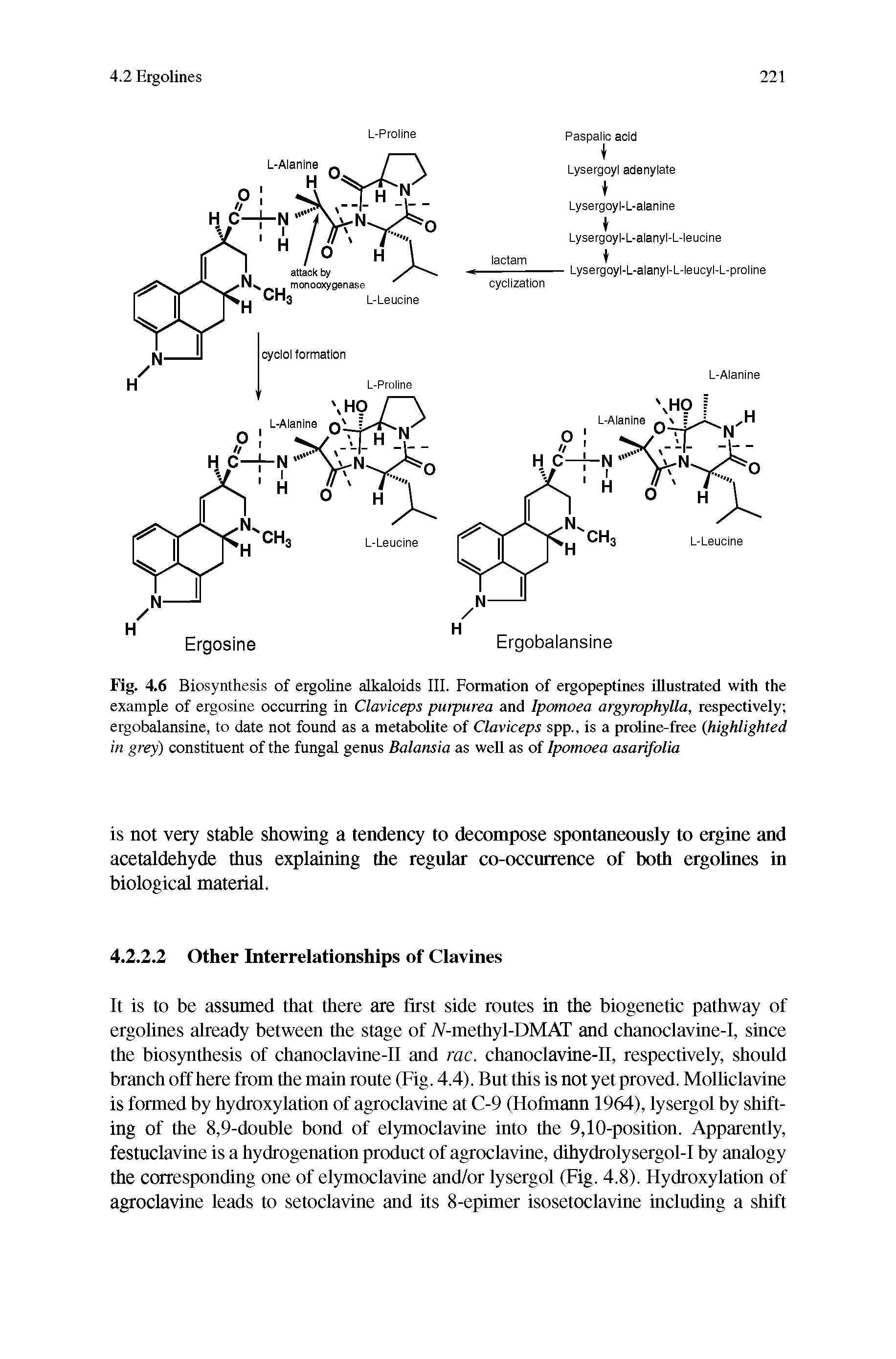 Fig. 4.6 Biosynthesis of ergoline alkaloids III. Formation of eigopeptines illustrated with the example of ergosine occurring in Claviceps purpurea and Ipomoea argyrophylla, respectively ergobalansine, to date not found as a metabolite of Claviceps spp., is a proline-free (highlighted in grey) constituent of the fungal genus Balansia as well as of Ipomoea asarifolia...