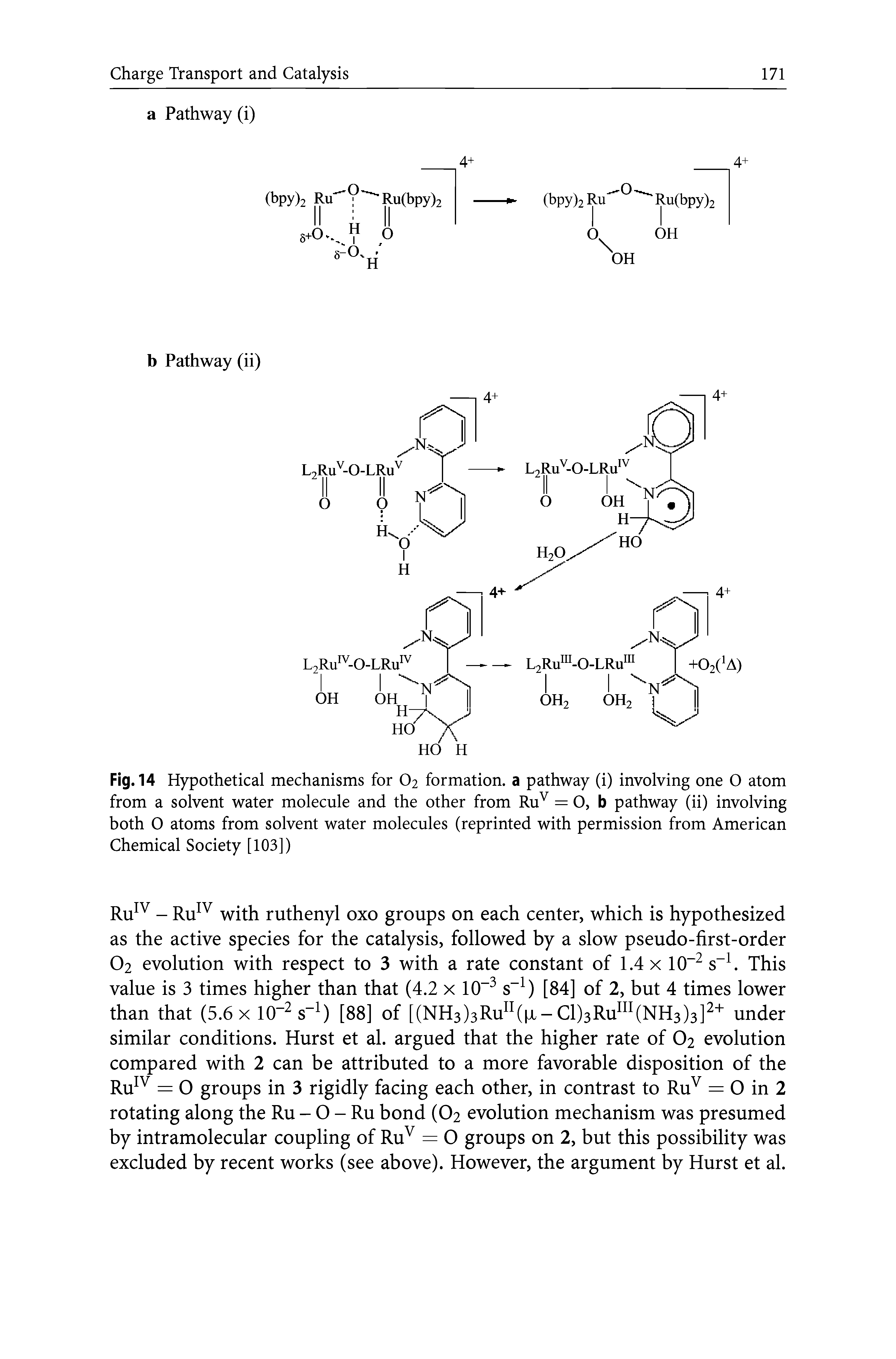 Fig. 14 Hypothetical mechanisms for O2 formation, a pathway (i) involving one O atom from a solvent water molecule and the other from Ru = O, b pathway (ii) involving both 0 atoms from solvent water molecules (reprinted with permission from American Chemical Society [103])...