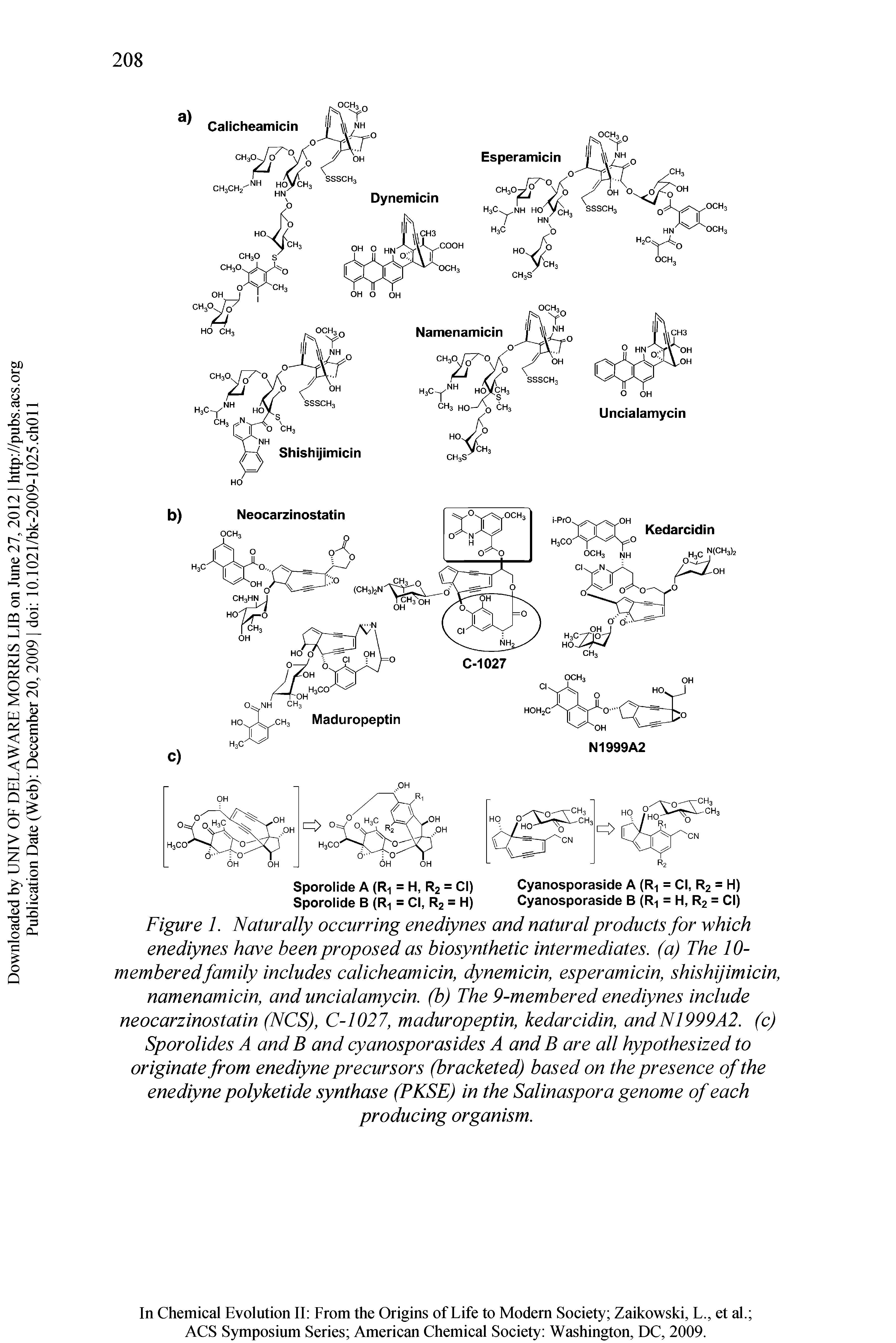 Figure 1. Naturally occurring enediynes and natural products for which enediynes have been proposed as biosynthetic intermediates, (a) The 10-memberedfamily includes calicheamicin, dynemicin, esperamicin, shishijimicin, namenamicin, and uncialamycin. (b) The 9-membered enediynes include neocarzinostatin (NCS), C-1027, maduropeptin, kedarcidin, andN1999A2. (c) Sporolides A and B and cyanosporasides A and B are all hypothesized to originate from enediyne precursors (bracketed) based on the presence of the enediyne polyketide synthase (PKSE) in the Salinaspora genome of each producing organism.