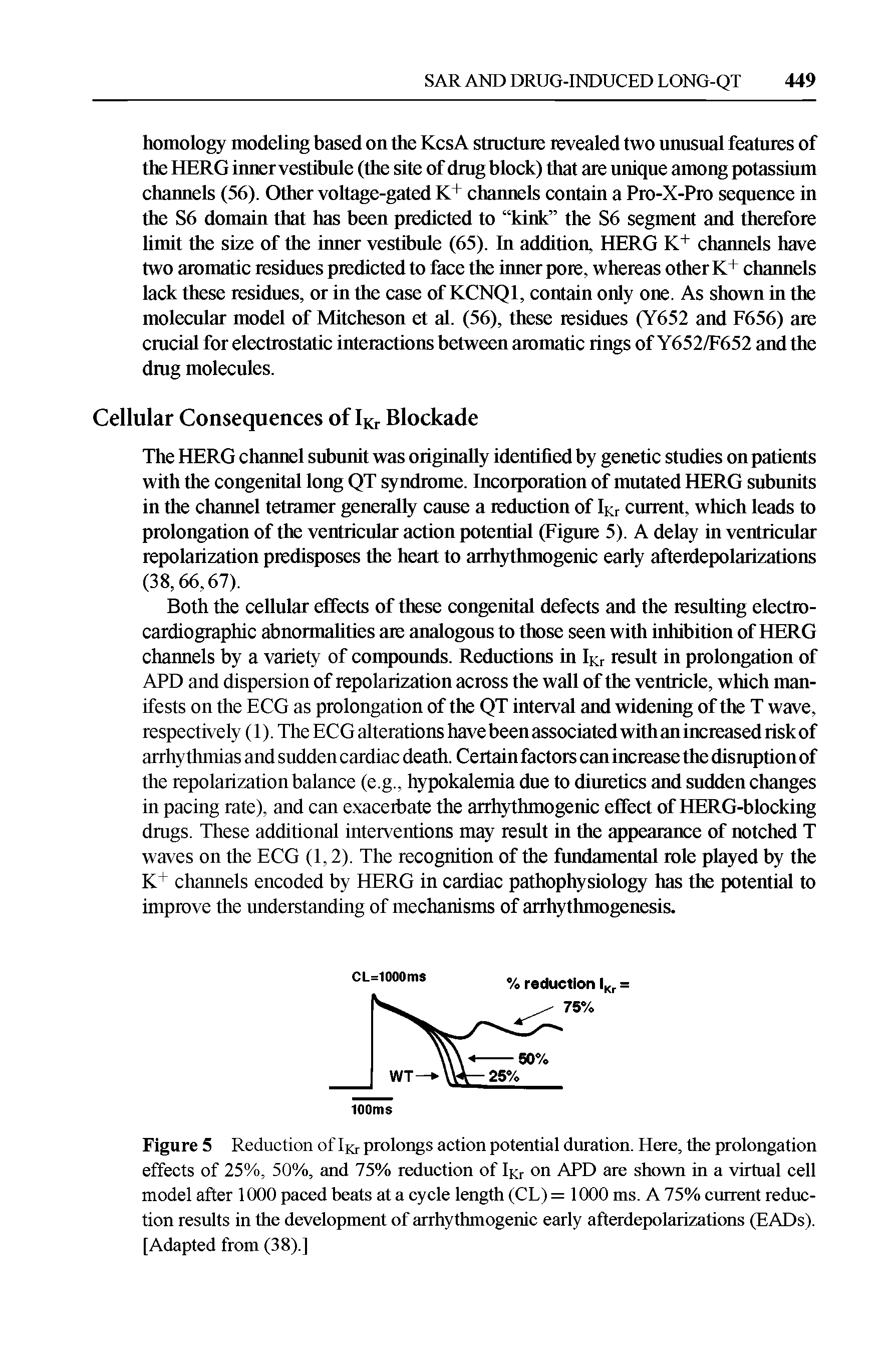 Figure 5 Reduction of Irt prolongs action potential duration. Here, the prolongation effects of 25%, 50%, and 75% reduction of h r on APD are shown in a virtual cell model after 1000 paced beats at a cycle length (CL) = 1000 ms. A 75% current reduction results in the development of arrhythmogenic early afterdepolarizations (EADs). [Adapted from (38).]...