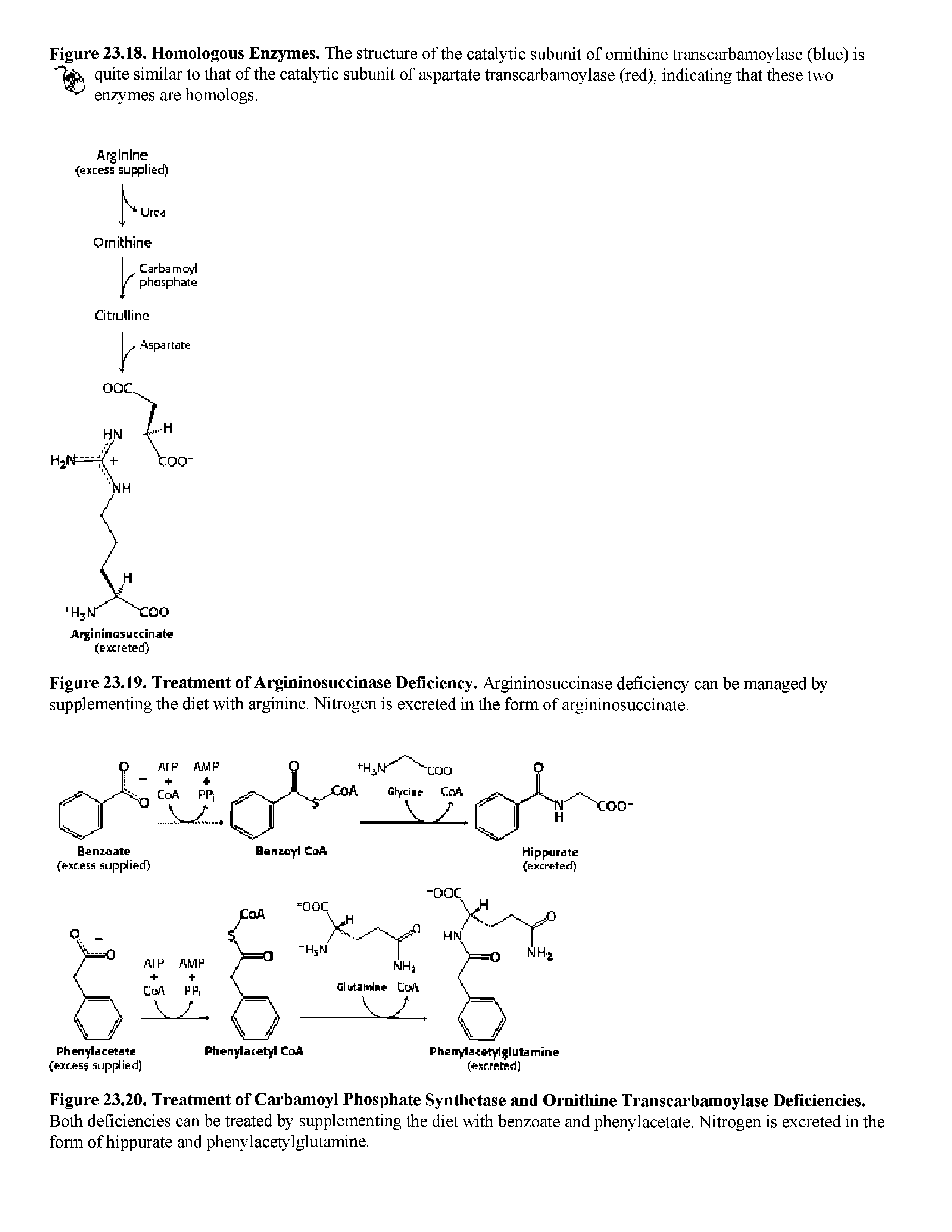 Figure 23.20. Treatment of Carbamoyl Phosphate Synthetase and Ornithine Transcarbamoylase Deficiencies.