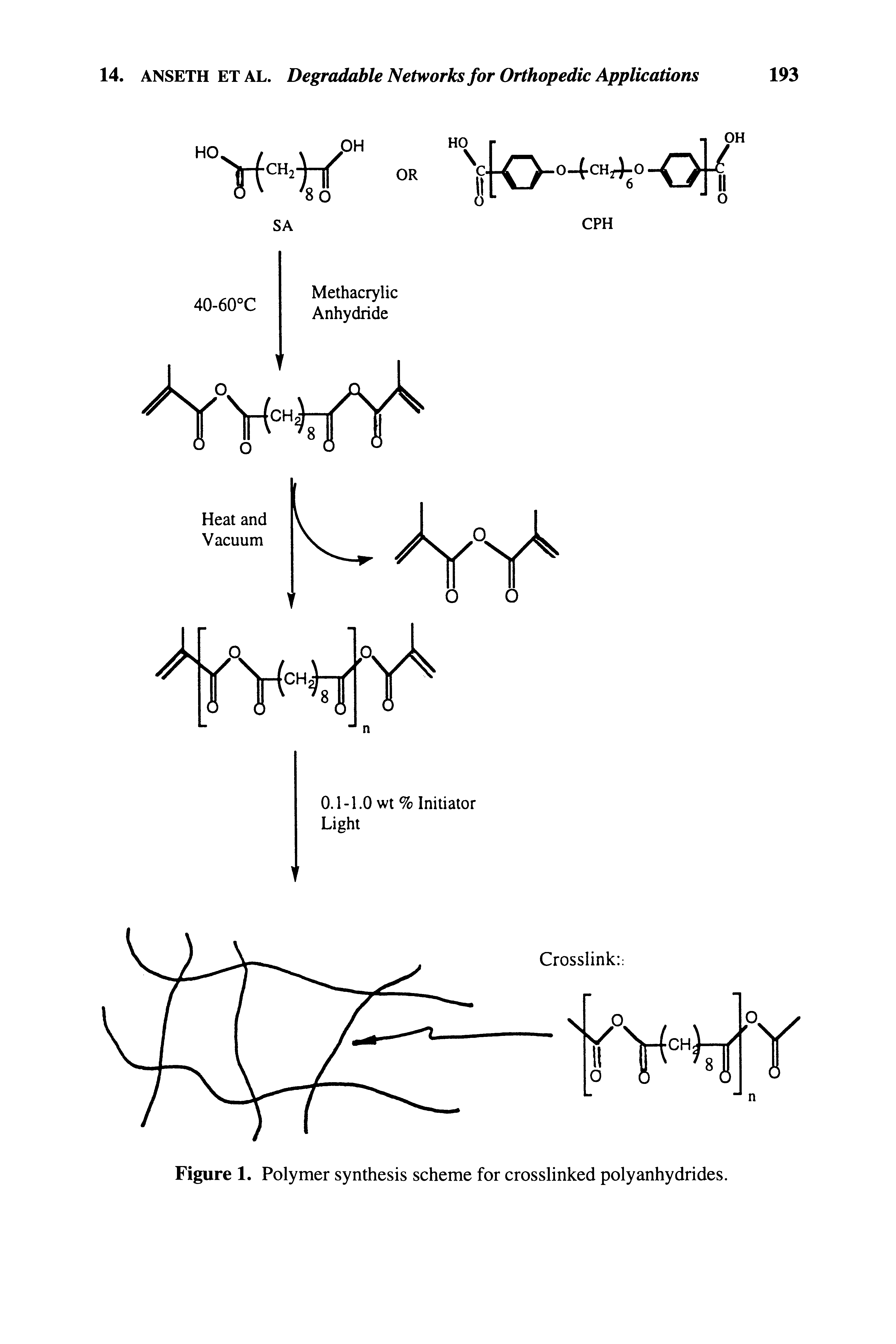 Figure 1. Polymer synthesis scheme for crosslinked poly anhydrides.