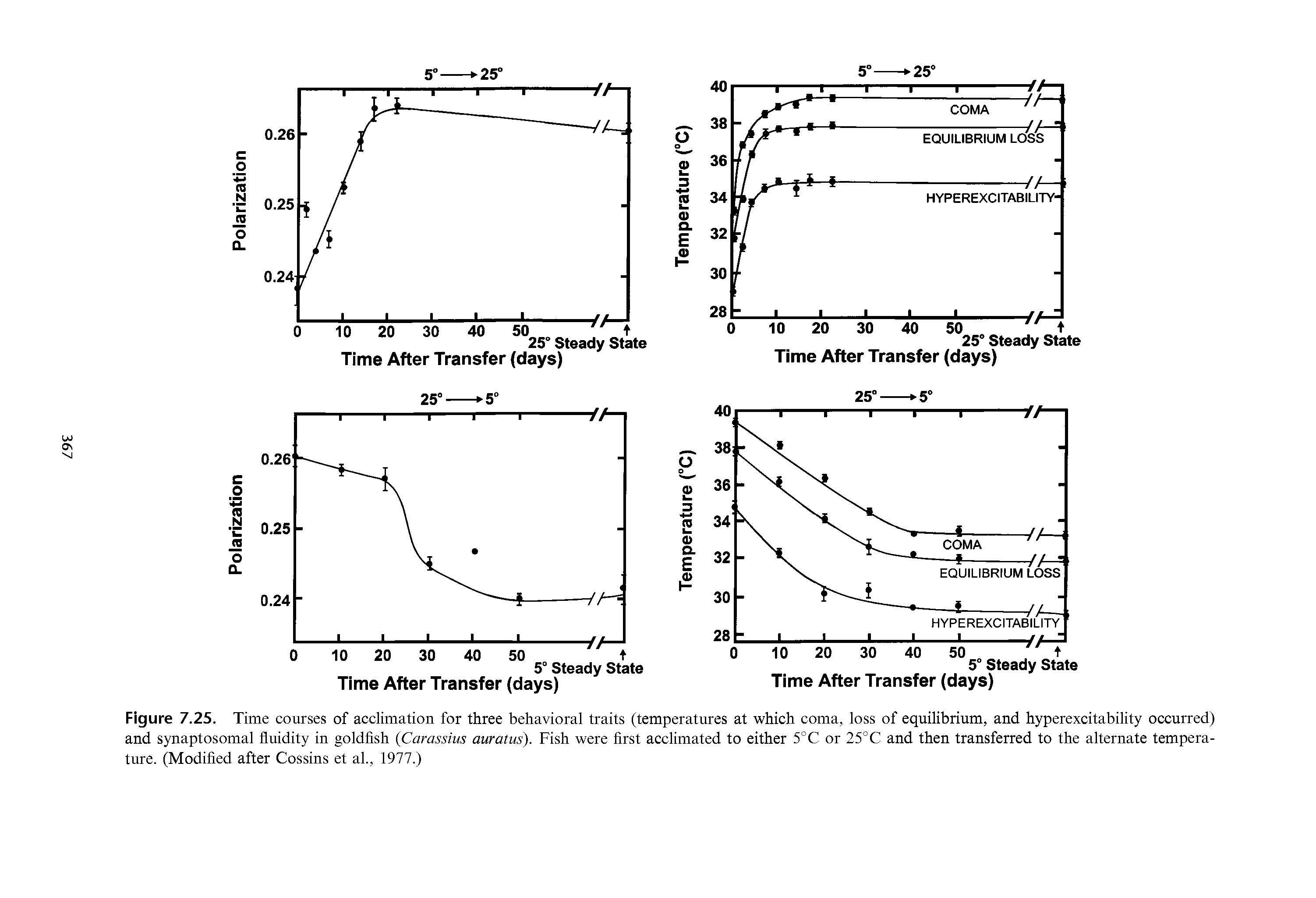 Figure 7.25. Time courses of acclimation for three behavioral traits (temperatures at which coma, loss of equilibrium, and hyperexcitability occurred) and synaptosomal fluidity in goldfish (Carassius auratus). Fish were first acclimated to either 5°C or 25°C and then transferred to the alternate temperature. (Modified after Cossins et al., 1977.)...