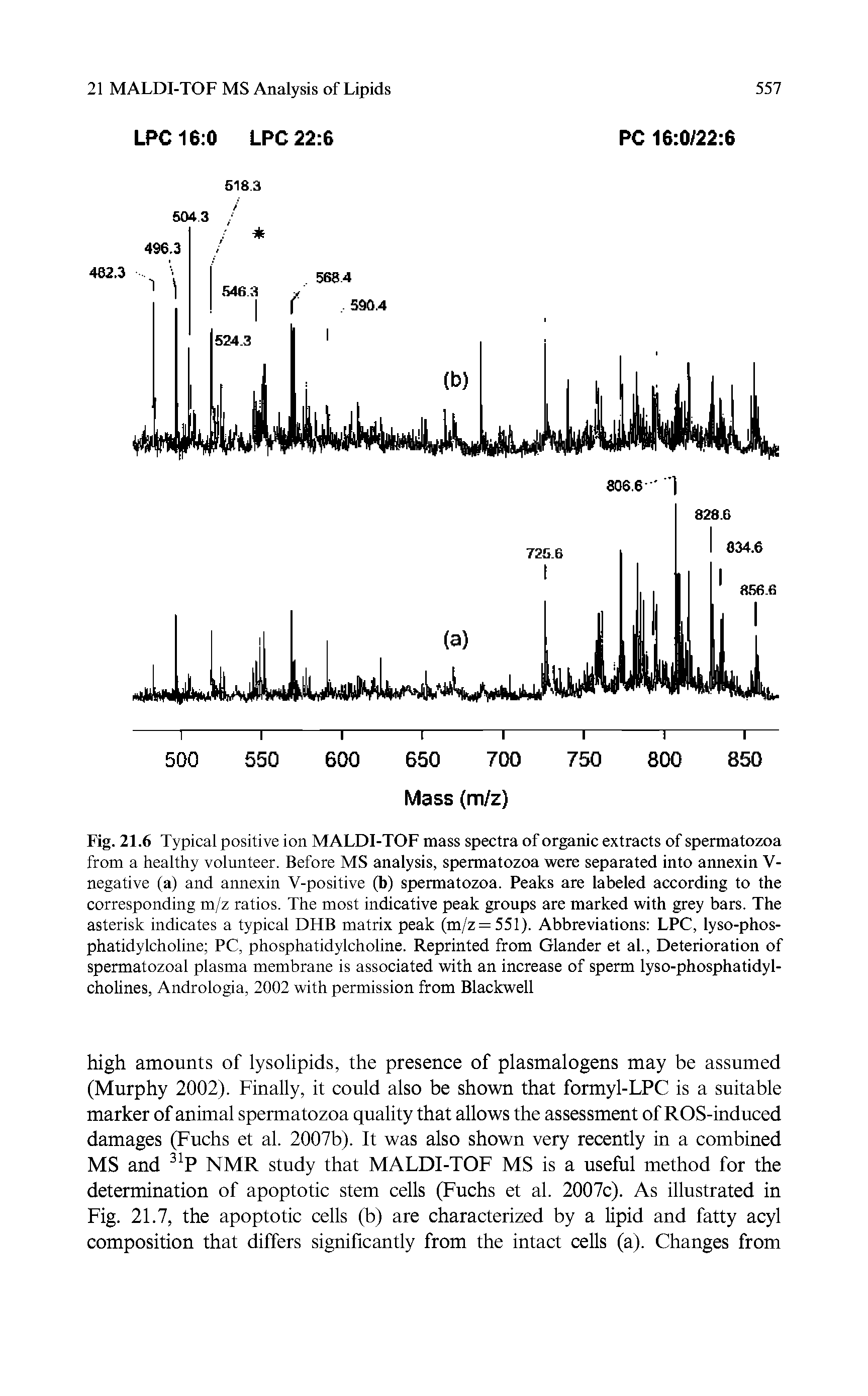 Fig. 21.6 Typical positive ion MALDI-TOF mass spectra of organic extracts of spermatozoa from a healthy volunteer. Before MS analysis, spermatozoa were separated into annexin V-negative (a) and annexin V-positive (b) spermatozoa. Peaks are labeled according to the corresponding m/z ratios. The most indicative peak groups are marked with grey bars. The asterisk indicates a typical DHB matrix peak (m/z = 551). Abbreviations LPC, lyso-phos-phatidylcholine PC, phosphatidylcholine. Reprinted from Glander et al.. Deterioration of spermatozoal plasma membrane is associated with an increase of sperm lyso-phosphatidyl-cholines, Andrologia, 2002 with permission from Blackwell...