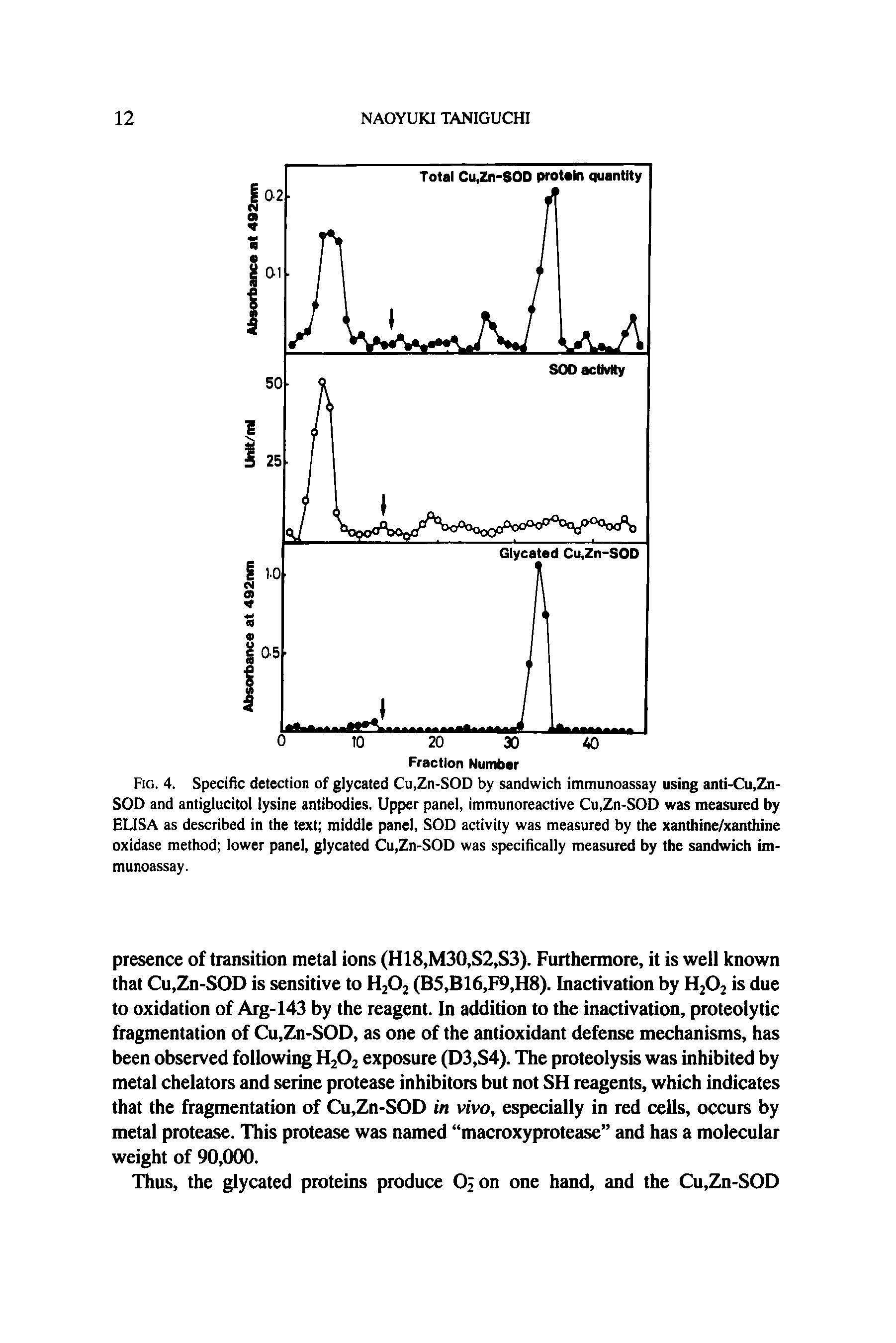Fig. 4. Specific detection of glycated Cu,Zn-SOD by sandwich immunoassay using anti-Cu,Zn-SOD and antiglucitol lysine antibodies. Upper panel, immunoreactive Cu,Zn-SOD was measured by ELISA as described in the text middle panel, SOD activity was measured by the xanthine/xanthine oxidase method lower panel, glycated Cu,Zn-SOD was specifically measured by the sandwich immunoassay.