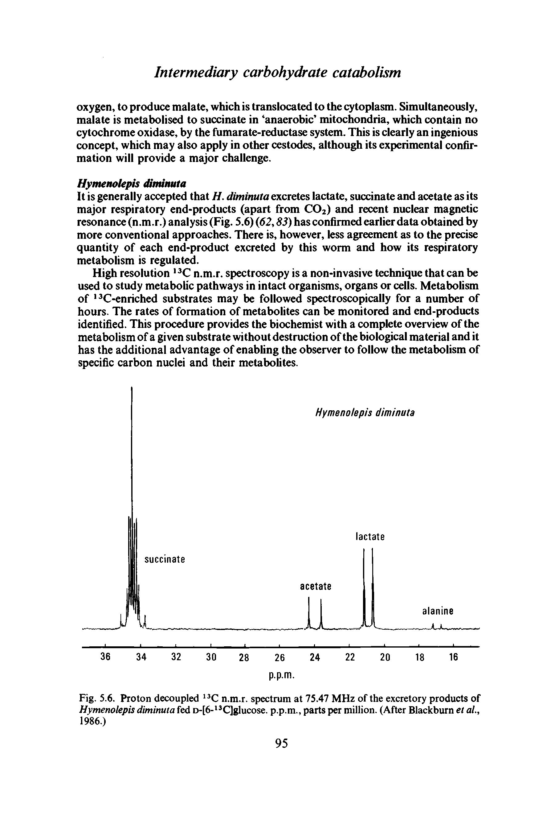 Fig. 5.6. Proton decoupled 13C n.m.r. spectrum at 75.47 MHz of the excretory products of Hymenolepis dimimta fed D-[6-13C]glucose. p.p.m., parts per million. (After Blackburn et al, 1986.)...