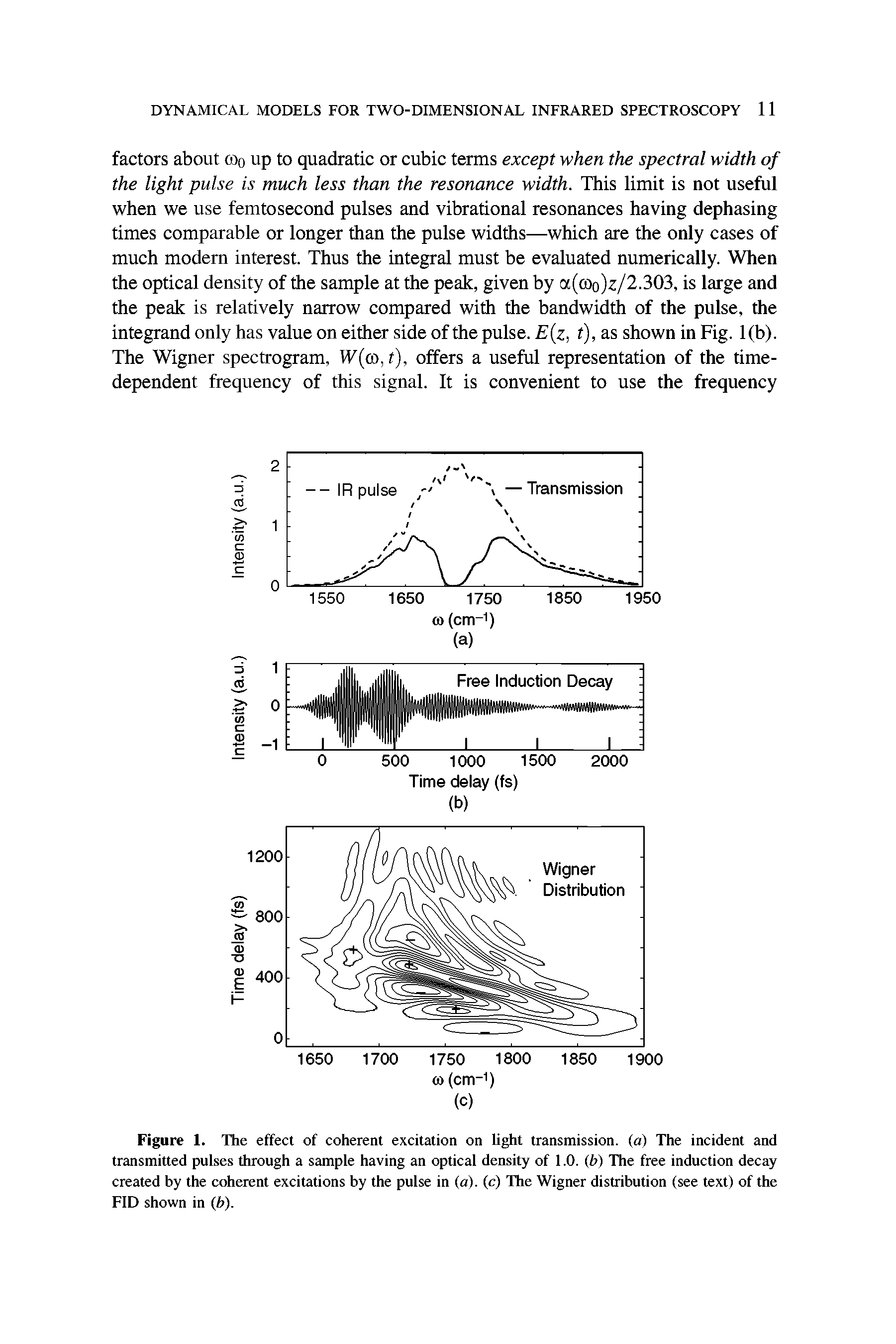 Figure 1. The effect of coherent excitation on hght transmission, (a) The incident and transmitted pulses through a sample having an optical density of 1.0. (b) The free induction decay created by the coherent excitations by the pulse in (a), (c) The Wigner distribution (see text) of the FID shown in (h).