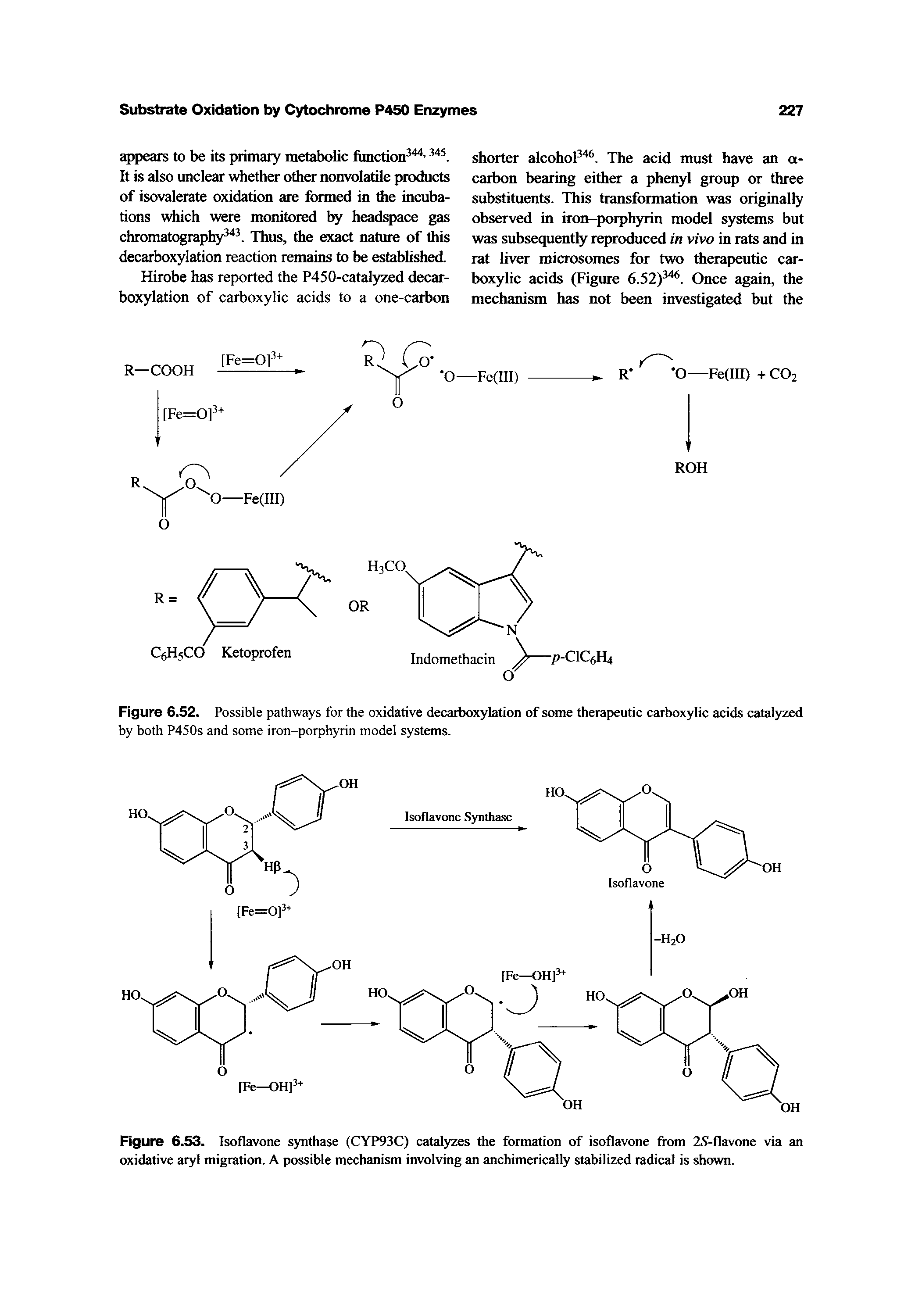 Figure 6.53. Isoflavone synthase (CYP93C) catalyzes the formation of isoflavone from 25 -flavone via an oxidative aryl migration. A possible mechanism involving an anchimerically stabilized radical is shown.