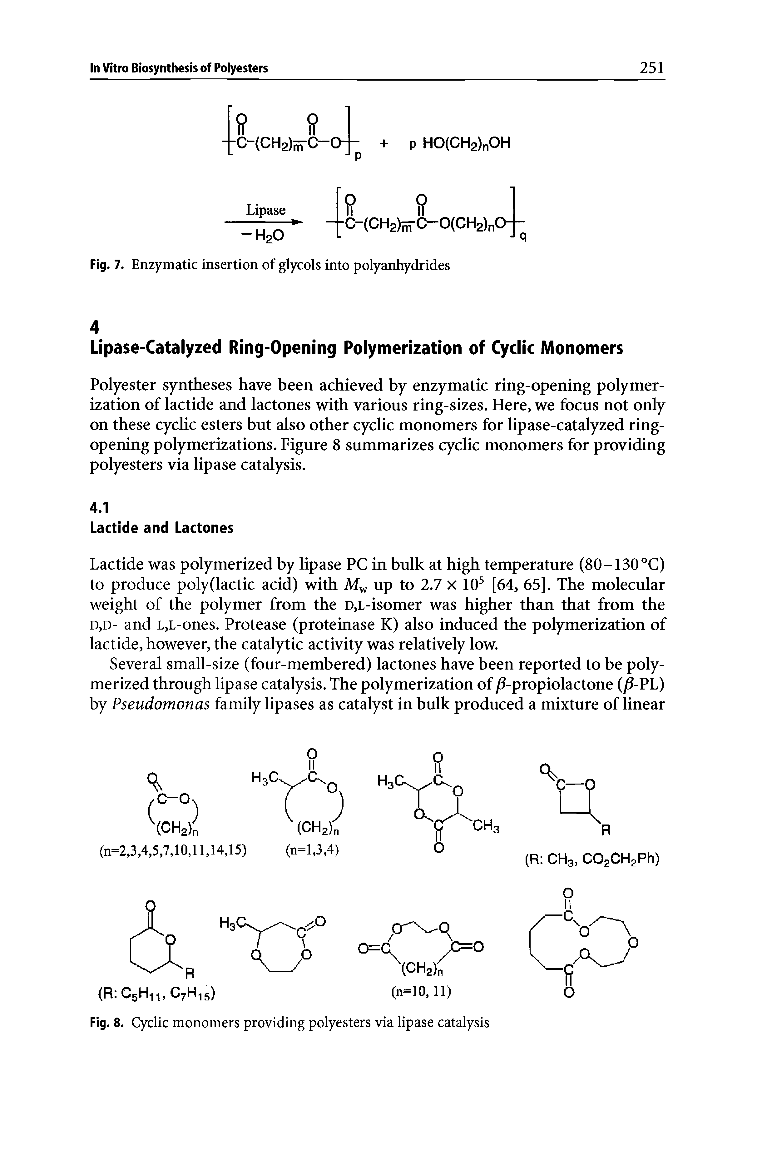 Fig. 8. Cyclic monomers providing polyesters via lipase catalysis...