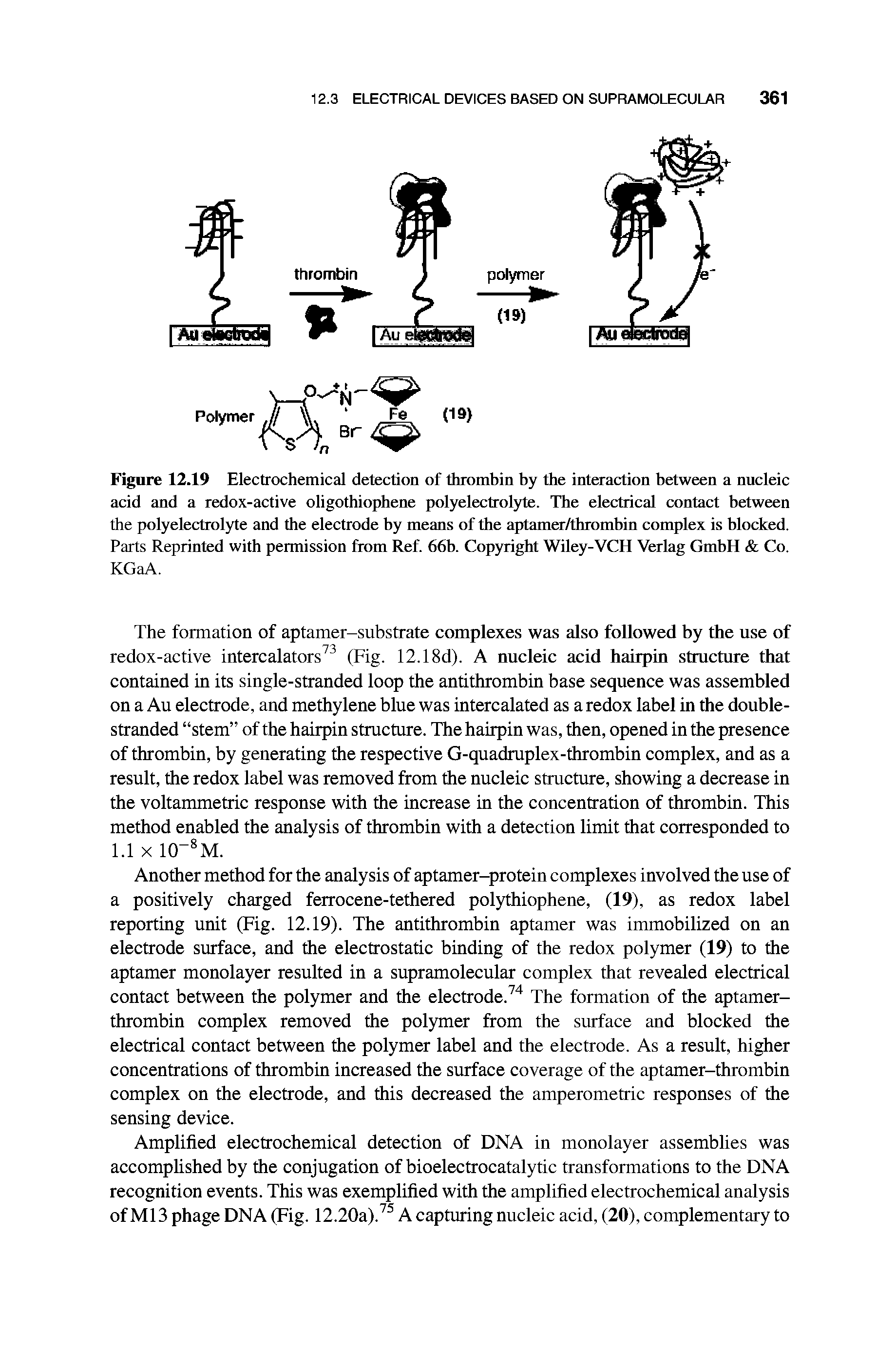 Figure 12.19 Electrochemical detection of thrombin by the interaction between a nucleic acid and a redox-active oligothiophene polyelectrolyte. The electrical contact between the polyelectrolyte and the electrode by means of the aptamer/thrombin complex is blocked. Parts Reprinted with permission from Ref. 66b. Copyright Wiley-VCH Verlag GmbH Co.
