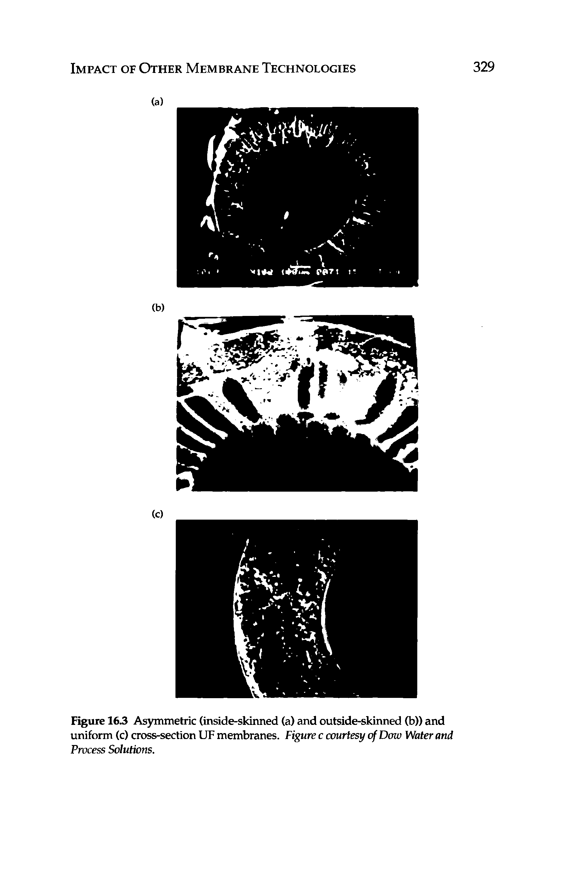 Figure 16.3 Asymmetric (inside-skinned (a) and outside-skinned (b)) and uniform (c) cross-section UF membranes. Figure c courtesy of Dow Water and Process Solutions.