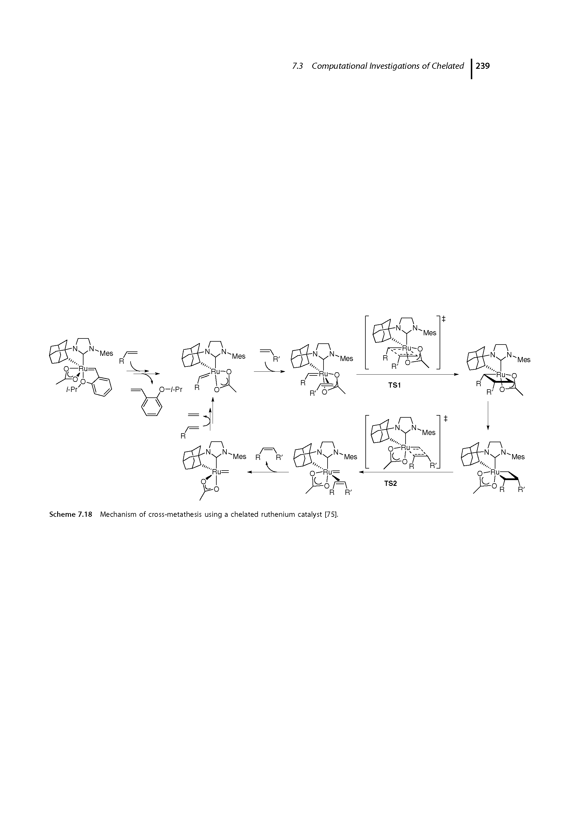 Scheme 7.18 Mechanism of cross-metathesis using a chelated ruthenium catalyst [75].