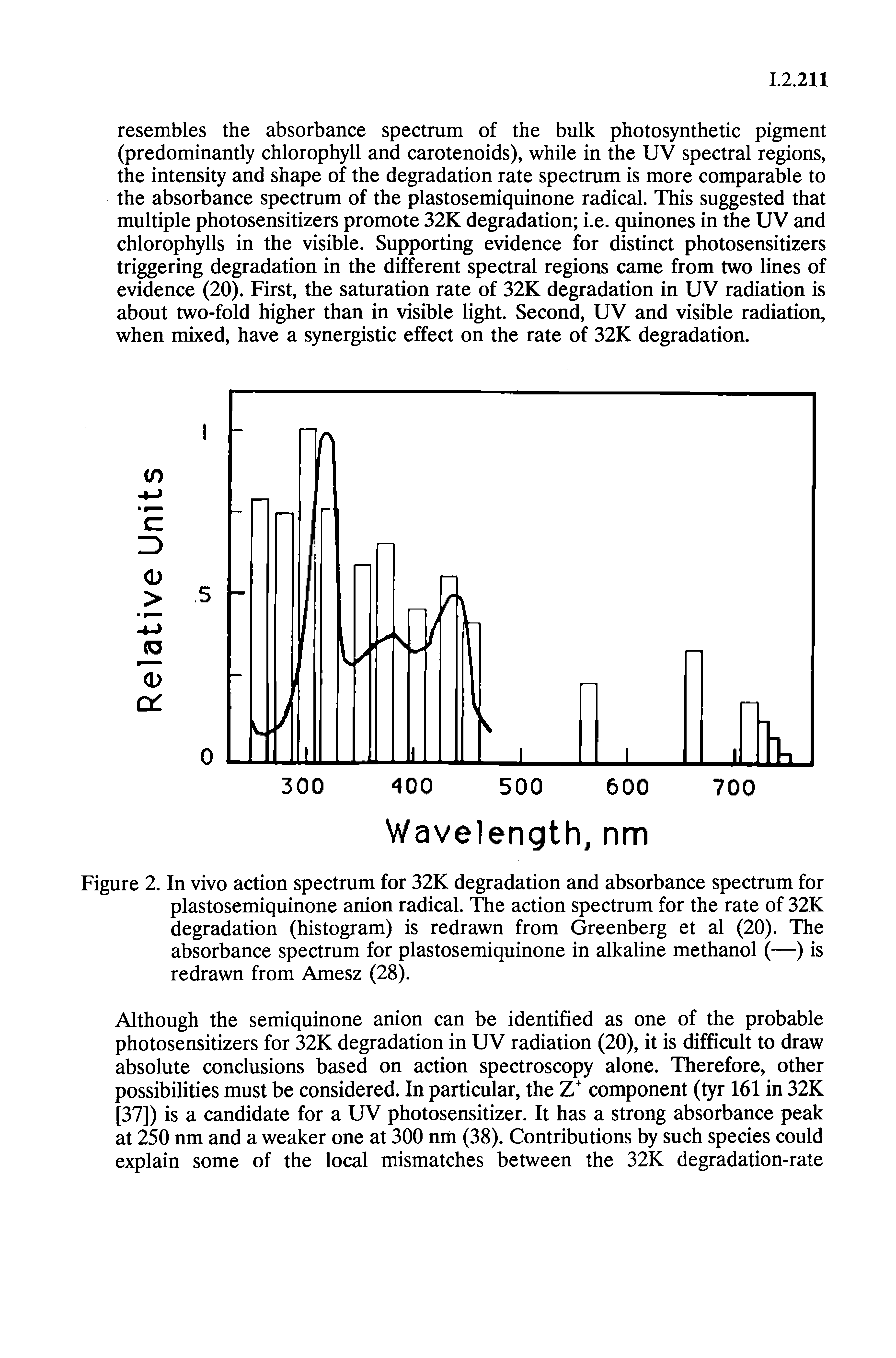 Figure 2. In vivo action spectrum for 32K degradation and absorbance spectrum for plastosemiquinone anion radical. The action spectrum for the rate of 32K degradation (histogram) is redrawn from Greenberg et al (20). The absorbance spectrum for plastosemiquinone in alkaline methanol (—) is redrawn from Amesz (28).