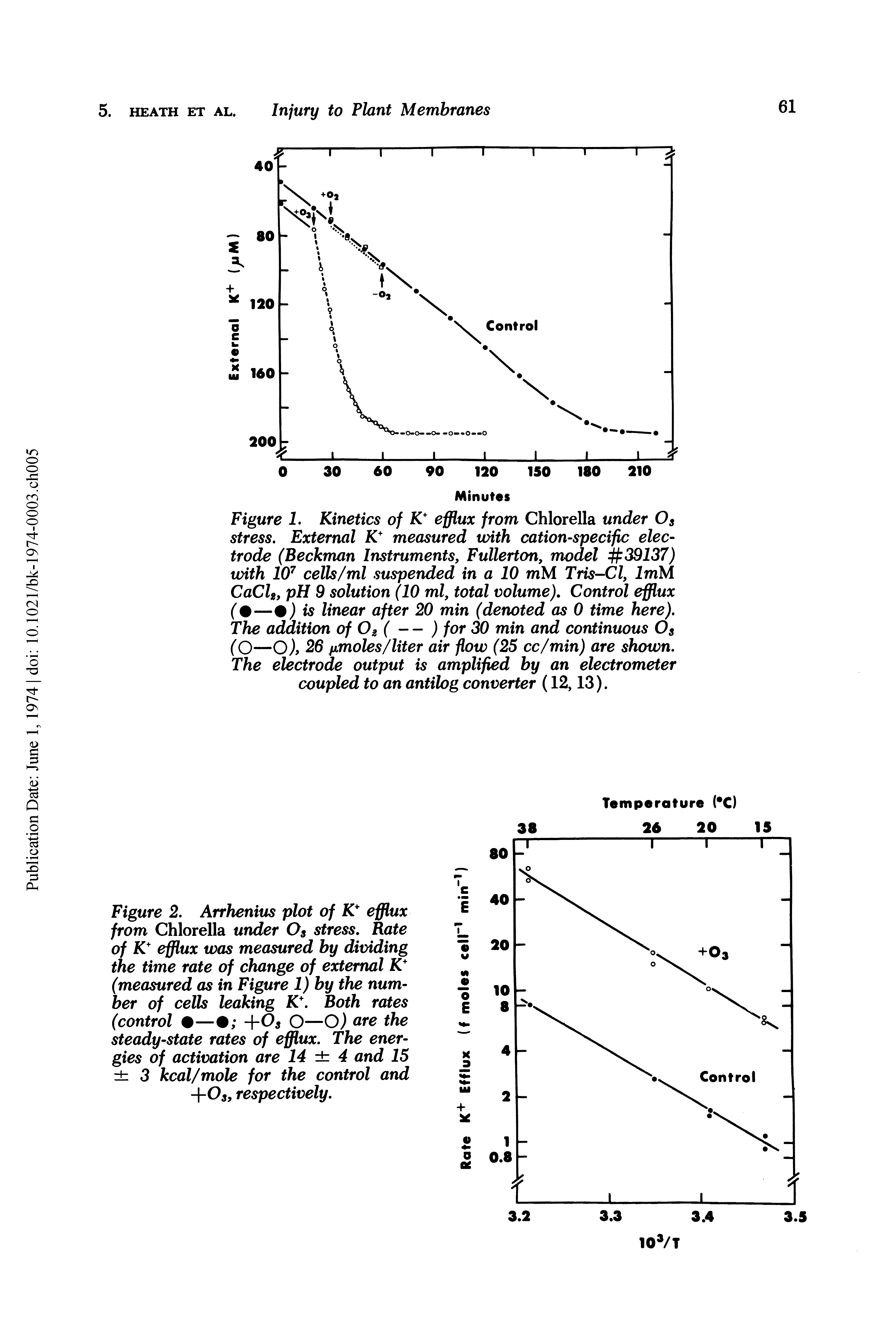Figure 1. Kinetics of K efflux from Chlorella under Og stress. External K measured with cation-specific electrode (Beckman Instruments, Fullerton, model 39137) with 10" cells/ml suspended in a 10 mM Tris-Cl, ImM CaCU, pH 9 solution (10 ml, total volume). Control efflux (0—0) is linear after 20 min (denoted as 0 time here). The addition of Og ( — ) for 30 min and continuous Og (O—O), 26 fimoles/liter air flow (25 cc/min) are shown. The electrode output is amplified by an electrometer coupled to an antilog converter (12,13).