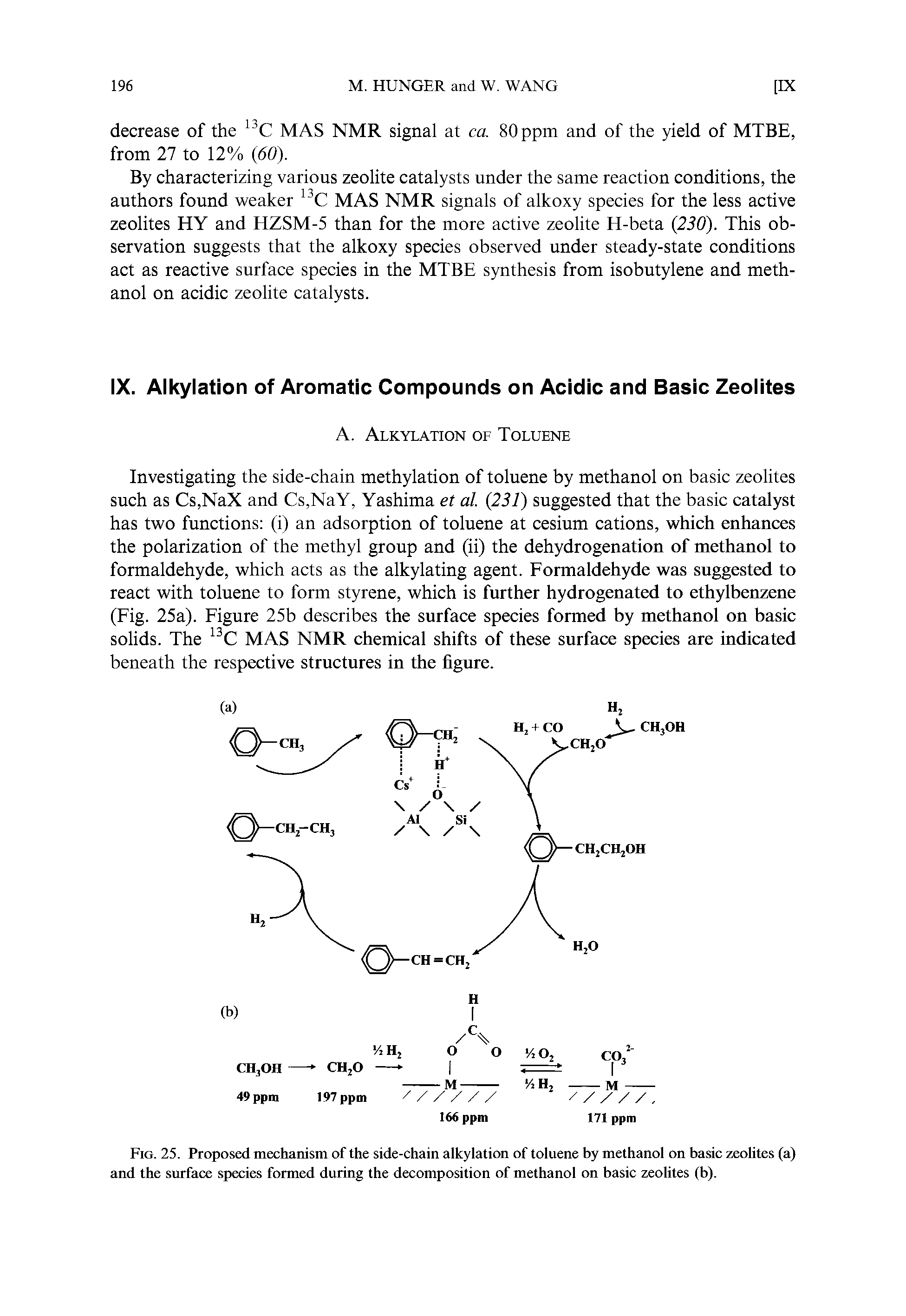 Fig. 25. Proposed mechanism of the side-chain alkylation of toluene by methanol on basic zeolites (a) and the surface species formed during the decomposition of methanol on basic zeolites (b).