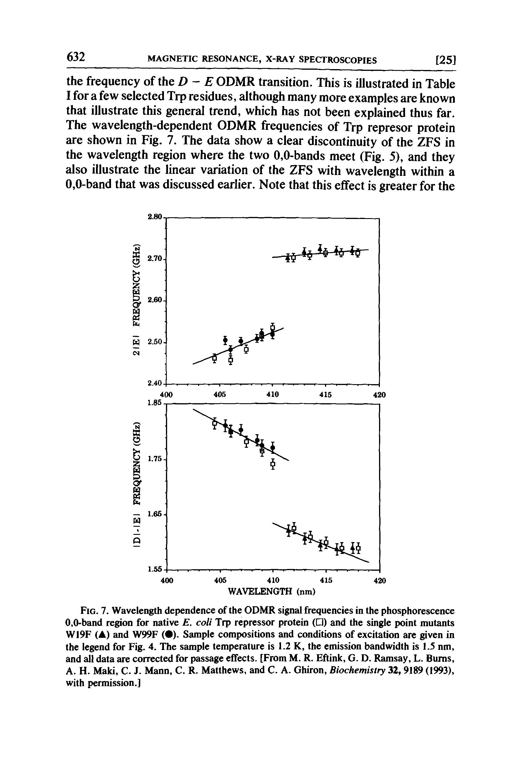 Fig. 7. Wavelength dependence of the ODMR signal frequencies in the phosphorescence 0,0-band region for native E. coli Trp repressor protein ( ) and the single point mutants WI9F (A) and W99F ( ). Sample compositions and conditions of excitation are given in the legend for Fig. 4. The sample temperature is 1.2 K, the emission bandwidth is 1.5 nm, and all data are corrected for passage effects. [From M. R. Eftink, G. D. Ramsay, L. Bums, A. H. Maki, C. J. Mann, C. R. Matthews, and C. A. Ghiron, Biochemistry 32, 9189 (1993), with permission.]...