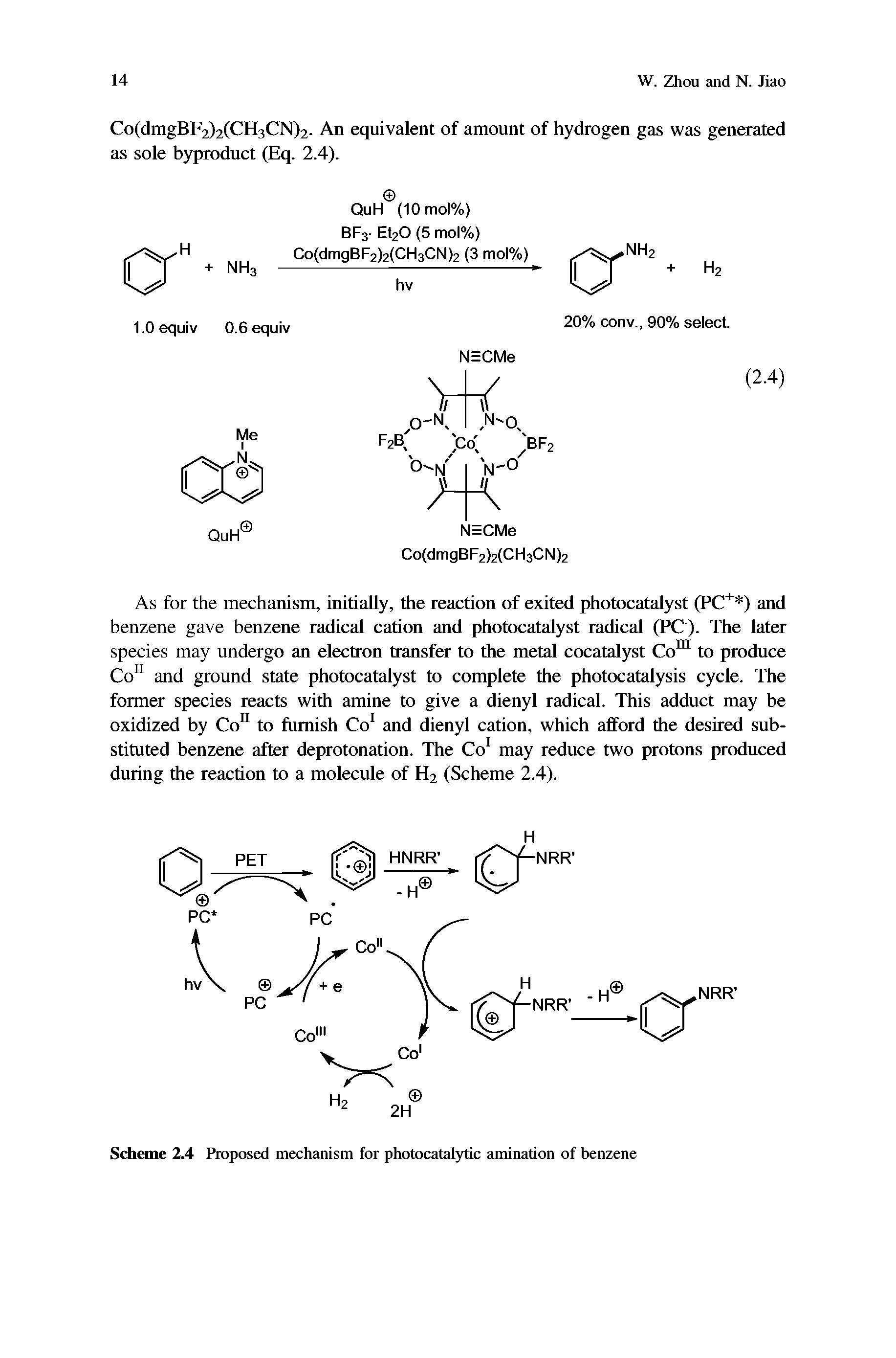 Scheme 2.4 Proposed mechanism for photocatalytic amination of benzene...