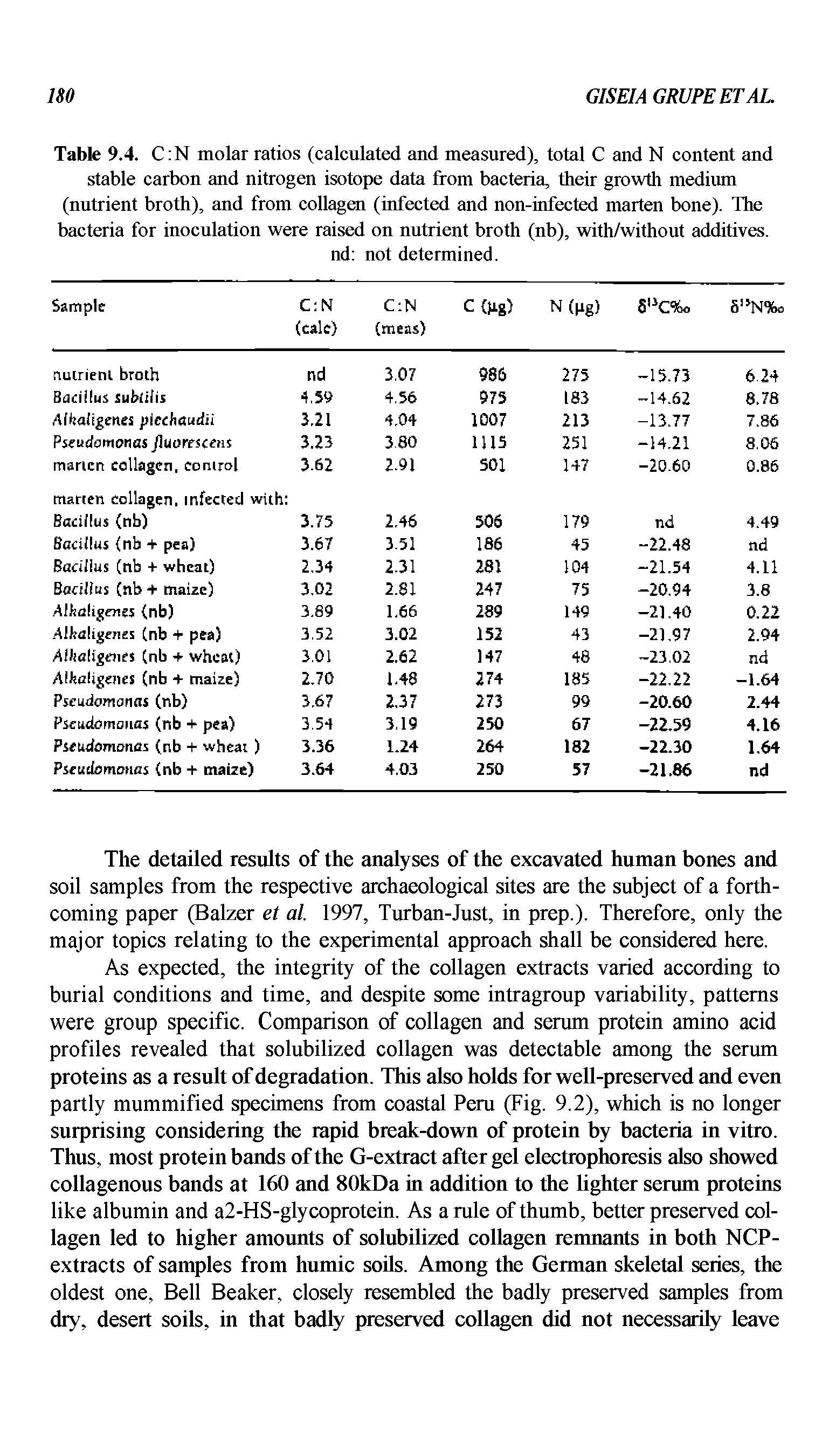 Table 9.4. C N molar ratios (calculated and measured), total C and N content and stable carbon and nitrogen isotope data from bacteria, their growth medium (nutrient broth), and from collagen (infected and non-infected marten bone). The bacteria for inoculation were raised on nutrient broth (nb), with/without additives.