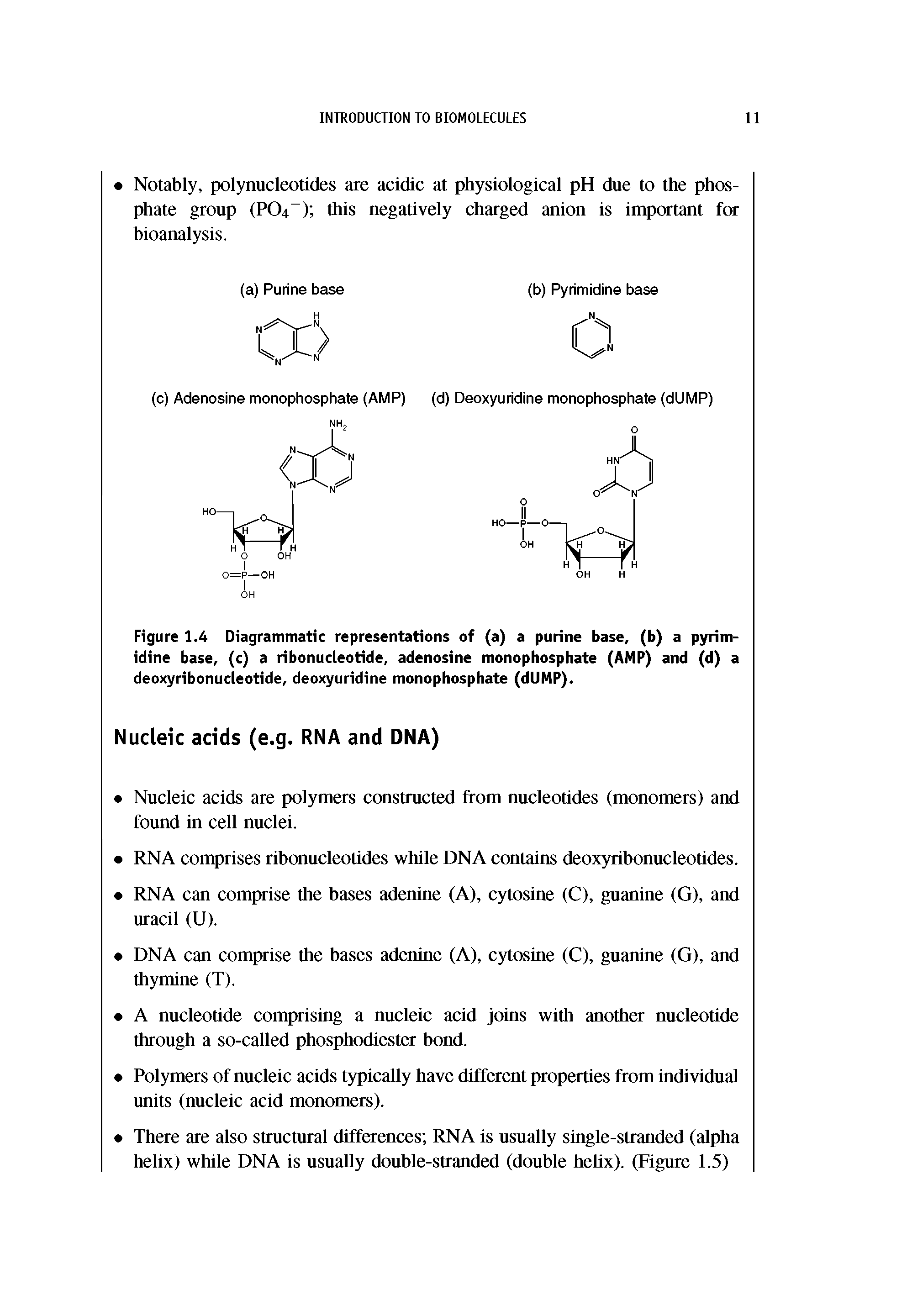 Figure 1.4 Diagrammatic representations of (a) a purine base, (b) a pyrimidine base, (c) a ribonucleotide, adenosine monophosphate (AMP) and (d) a deoxyribonucleotide, deoxyuridine monophosphate (dllMP).