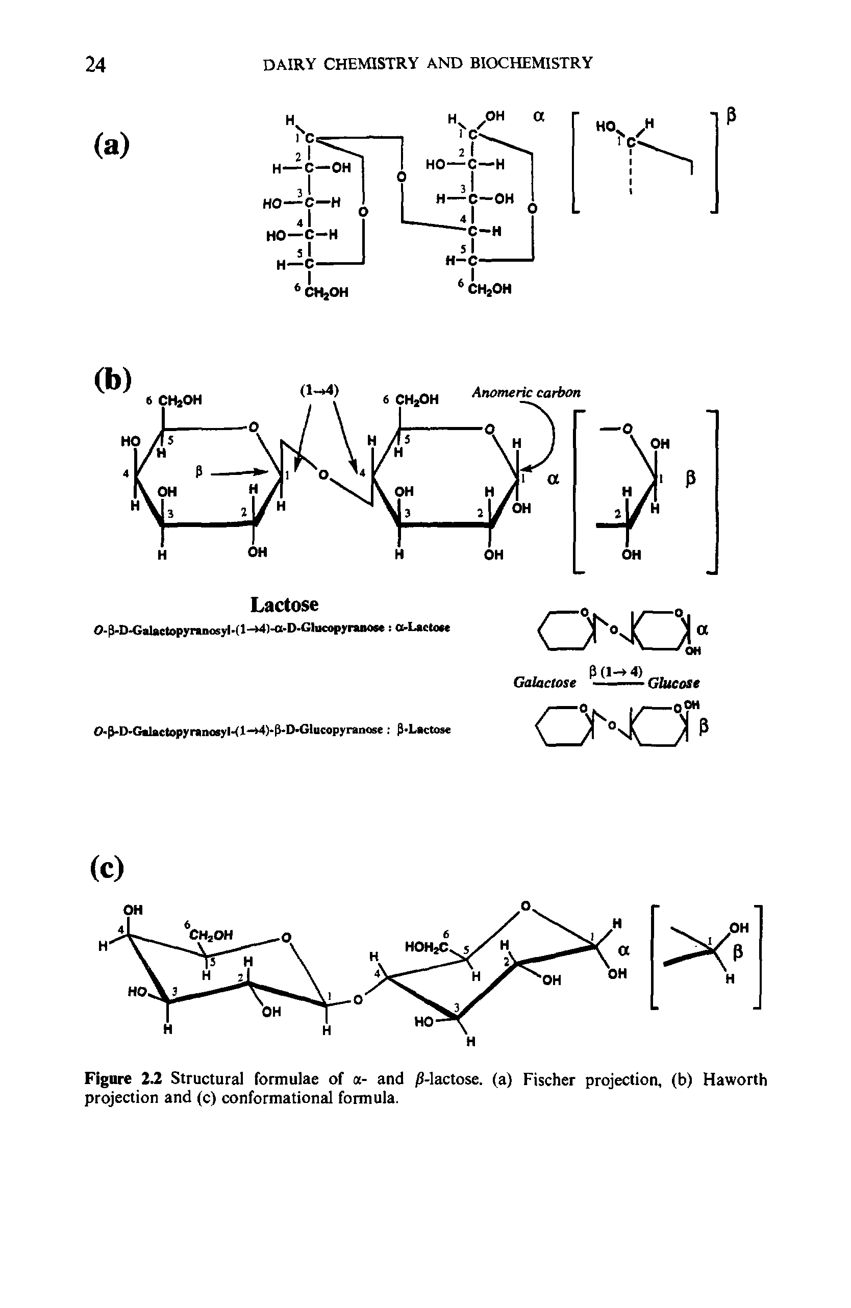 Figure 2.2 Structural formulae of a- and /3-lactose, (a) Fischer projection, (b) Haworth projection and (c) conformational formula.