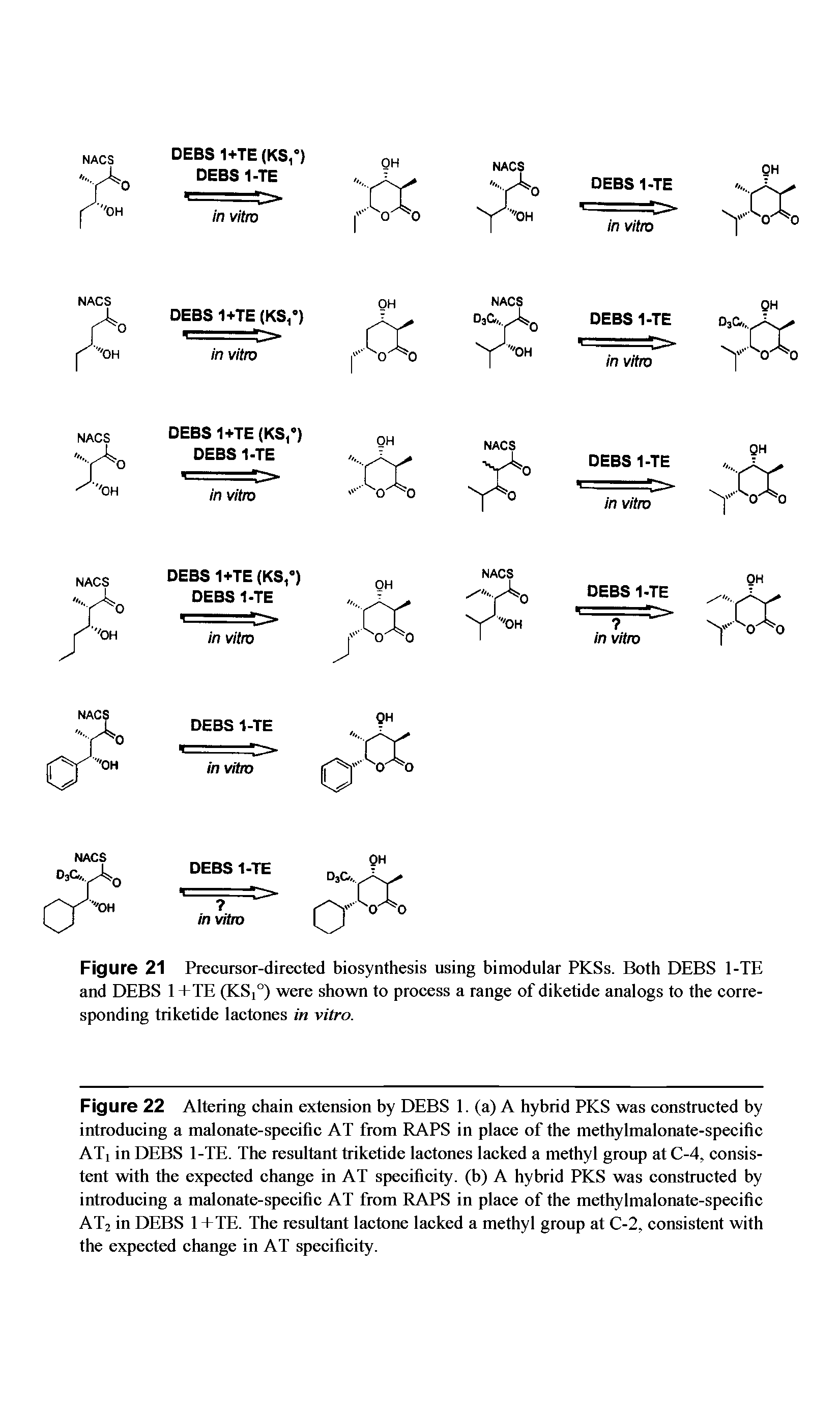 Figure 21 Precursor-directed biosynthesis using bimodular PKSs. Both DEBS 1-TE and DEBS 1+TE (KS,°) were shown to process a range of diketide analogs to the corresponding triketide lactones in vitro.