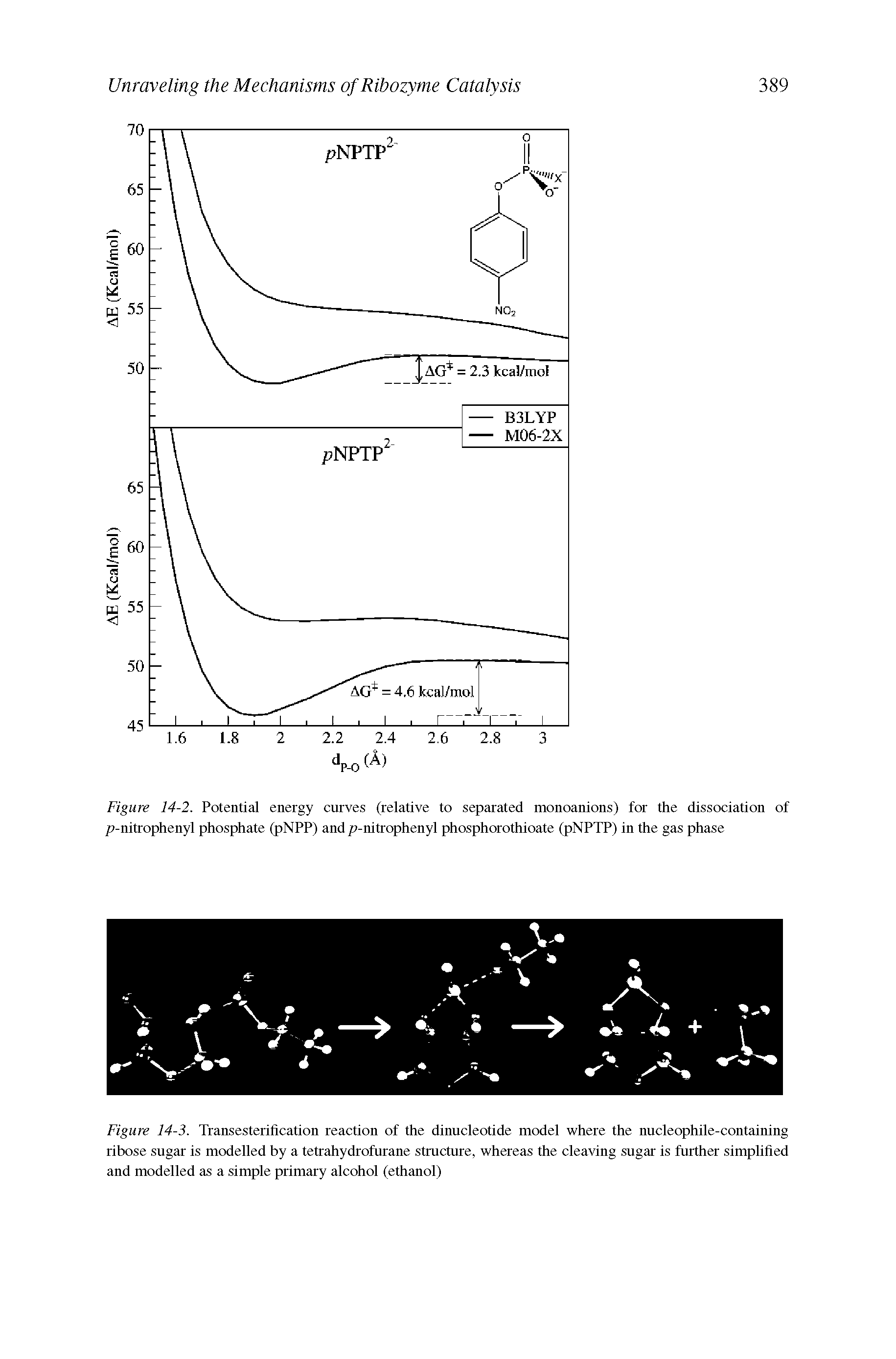 Figure 14-3. Transesterification reaction of the dinucleotide model where the nucleophile-containing ribose sugar is modelled by a tetrahydrofurane structure, whereas the cleaving sugar is further simplified and modelled as a simple primary alcohol (ethanol)...
