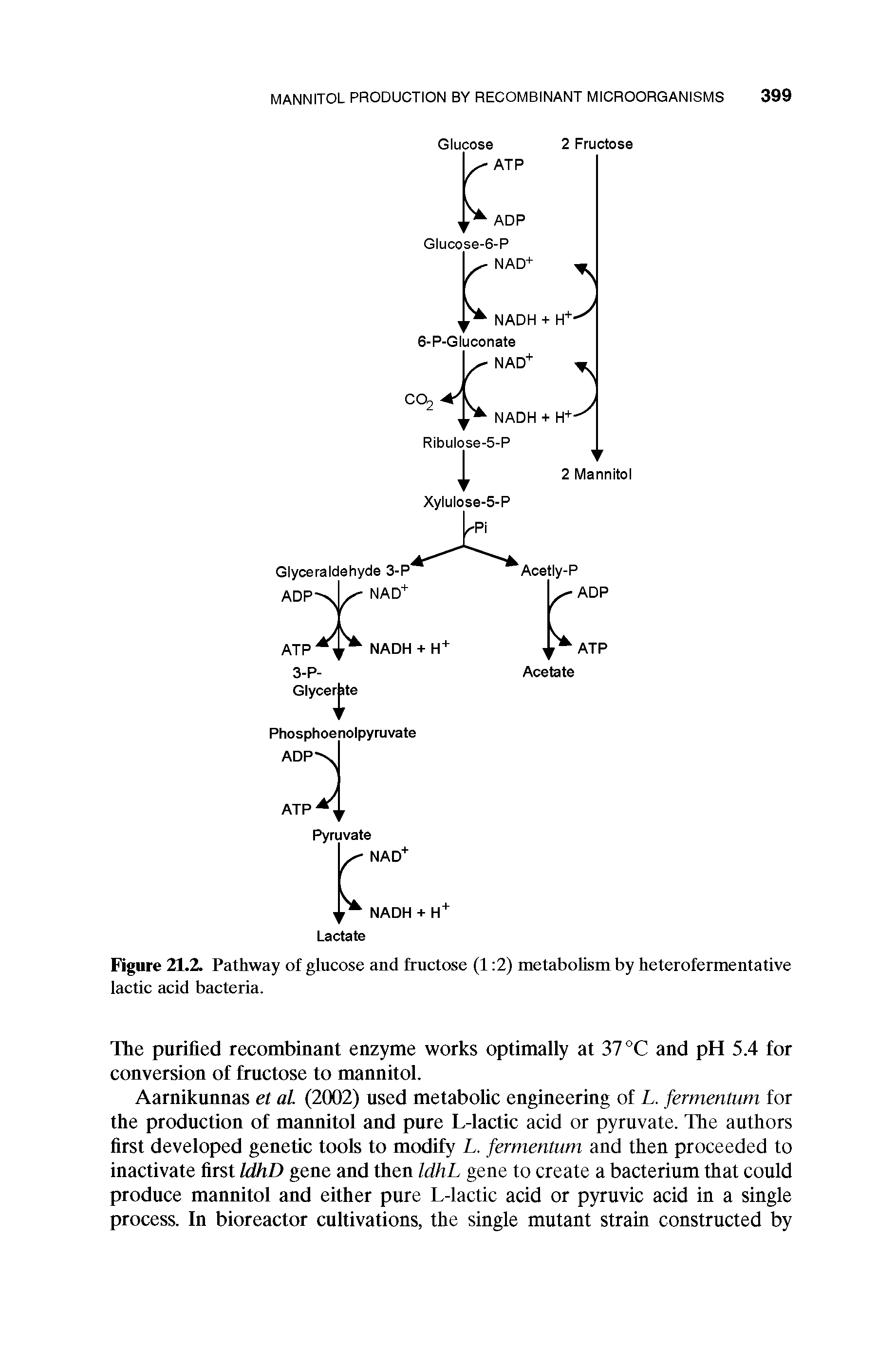 Figure 21.2. Pathway of glucose and fructose (1 2) metabolism by heterofermentative lactic acid bacteria.