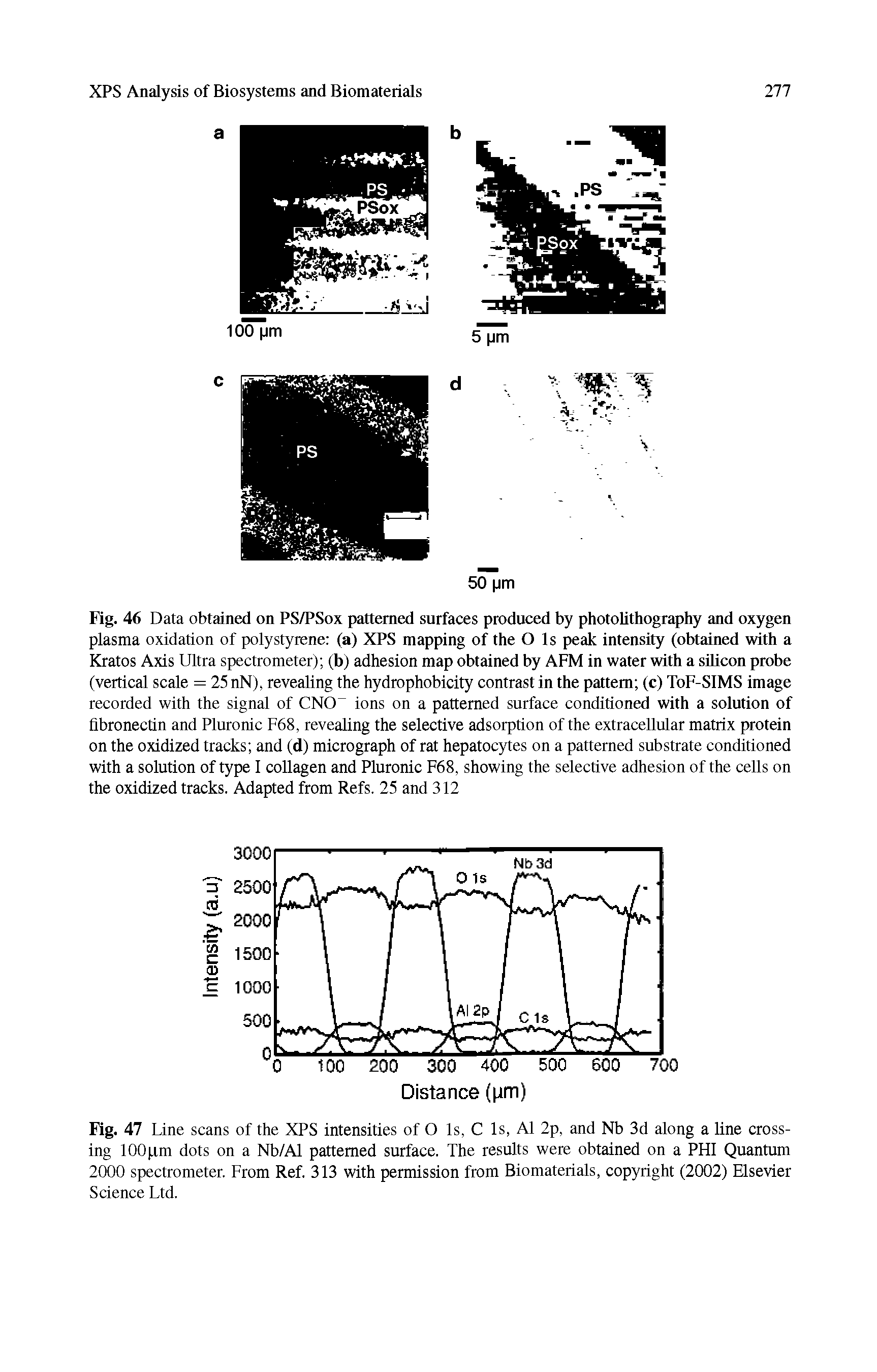 Fig. 46 Data obtained on PS/PSox patterned surfaces produced by photolithography and oxygen plasma oxidation of polystyrene (a) XPS mapping of the O Is peak intensity (obtained with a Kratos Axis Ultra spectrometer) (b) adhesion map obtained by AFM in water with a sUicon probe (vertical scale = 25 nN), revealing the hydrophobicity contrast in the pattern (c) ToF-SIMS image recorded with the signal of CNO ions on a patterned surface conditioned with a solution of flbronectin and Plutonic F68, revealing the selective adsorption of the extracellular matrix protein on the oxidized tracks and (d) micrograph of rat hepatocytes on a patterned substrate conditioned with a solution of type I collagen and Plutonic F68, showing the selective adhesion of the cells on the oxidized tracks. Adapted from Refs, 25 and 312...