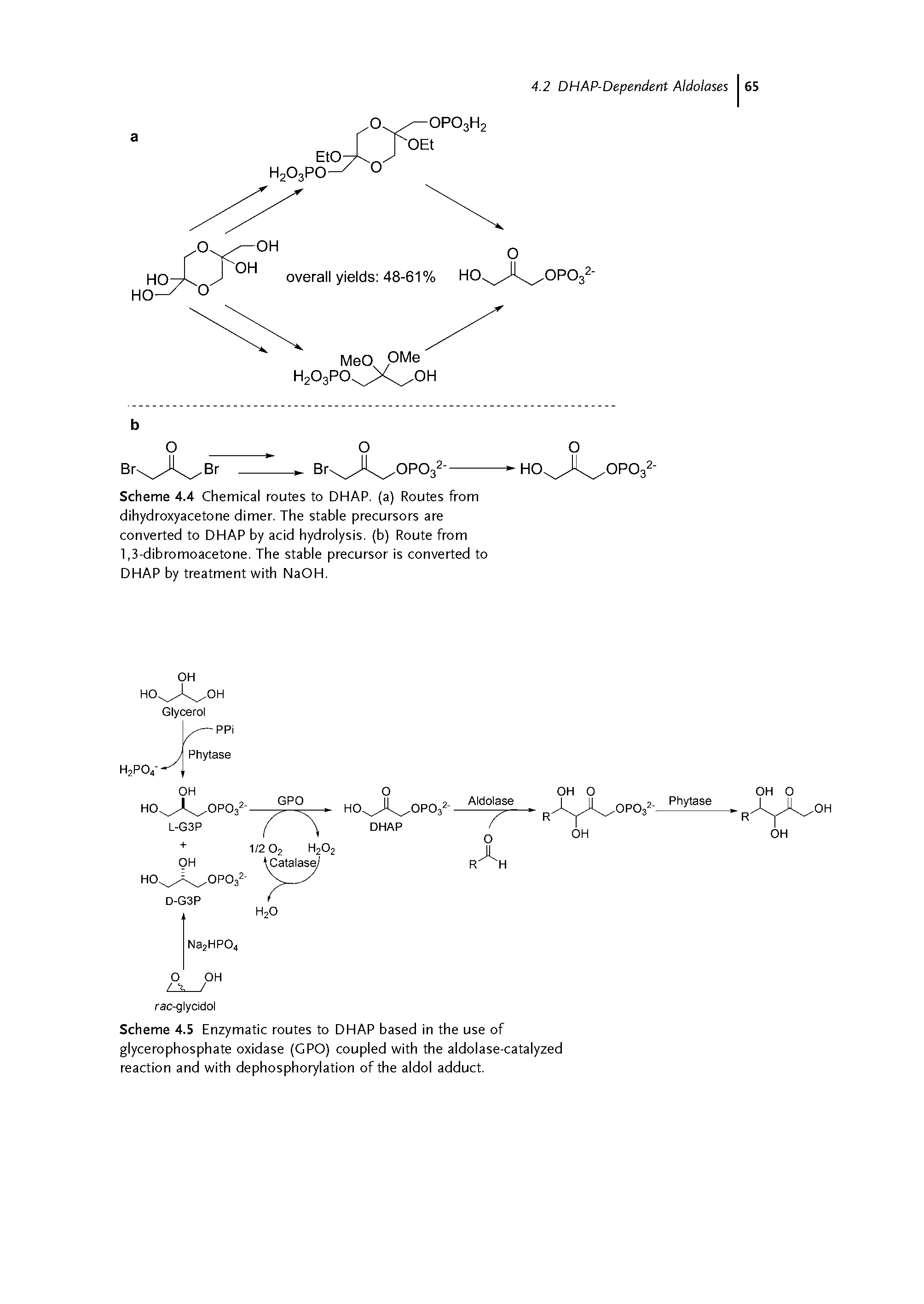 Scheme 4.4 Chemical routes to DHAP. (a) Routes from dihydroxyacetone dimer. The stable precursors are converted to DHAP by acid hydrolysis, (b) Route from 1,3-dibromoacetone. The stable precursor is converted to DHAP by treatment with NaOH.