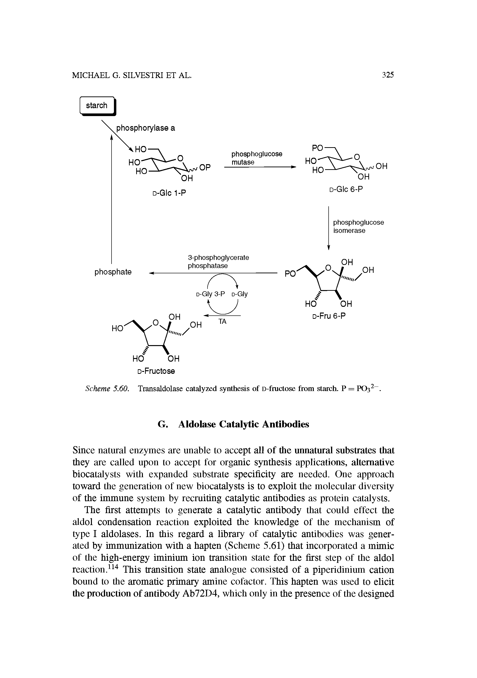Scheme 5.60. Transaldolase catalyzed synthesis of D-fructose from starch. P = PO32. ...