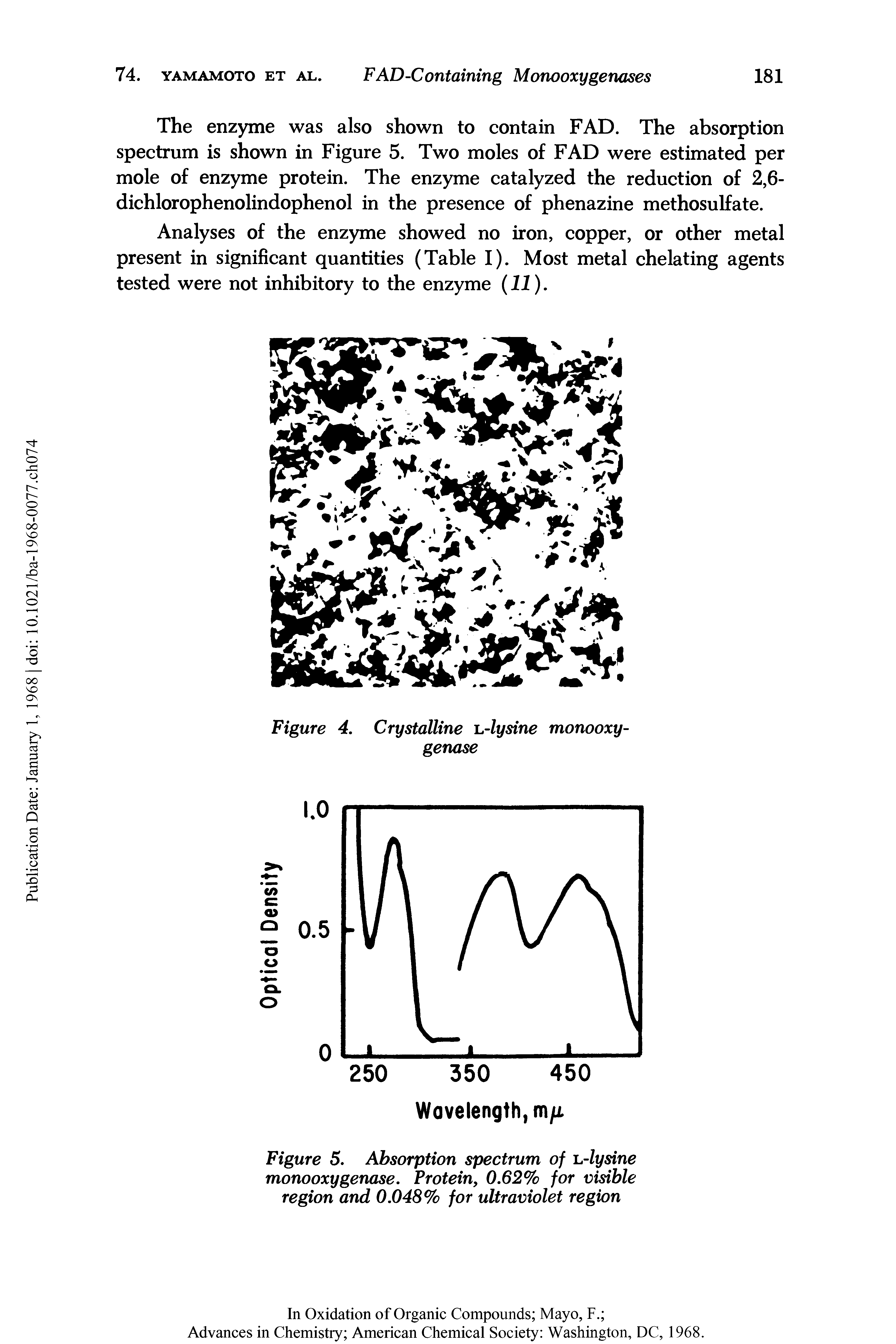 Figure 5. Absorption spectrum of L-lysine monooxygenase. Protein, 0.62% for visible region and 0.048% for ultraviolet region...
