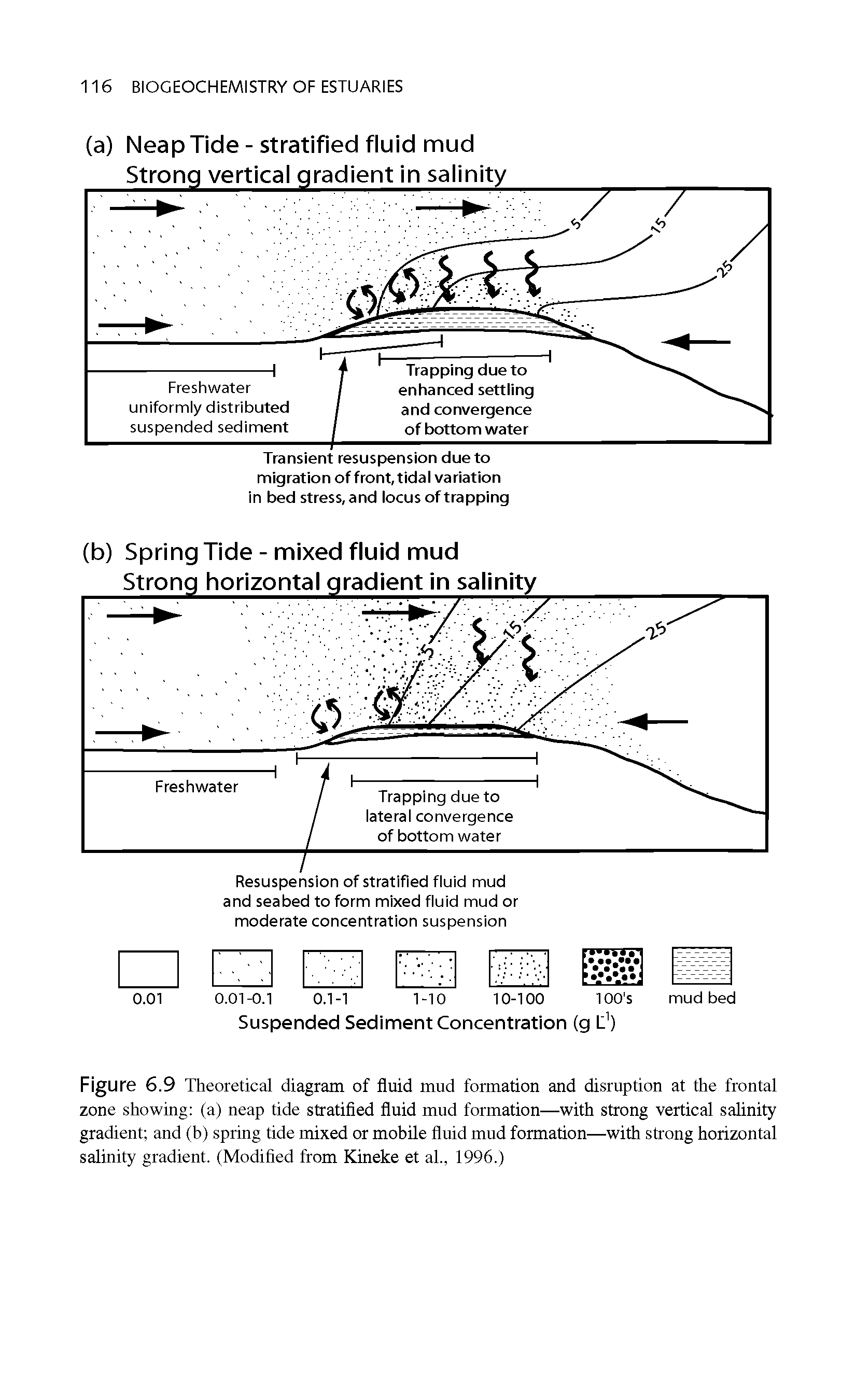 Figure 6.9 Theoretical diagram of fluid mud formation and disruption at the frontal zone showing (a) neap tide stratified fluid mud formation—with strong vertical salinity gradient and (b) spring tide mixed or mobile fluid mud formation—with strong horizontal salinity gradient. (Modified from Kineke et al., 1996.)...