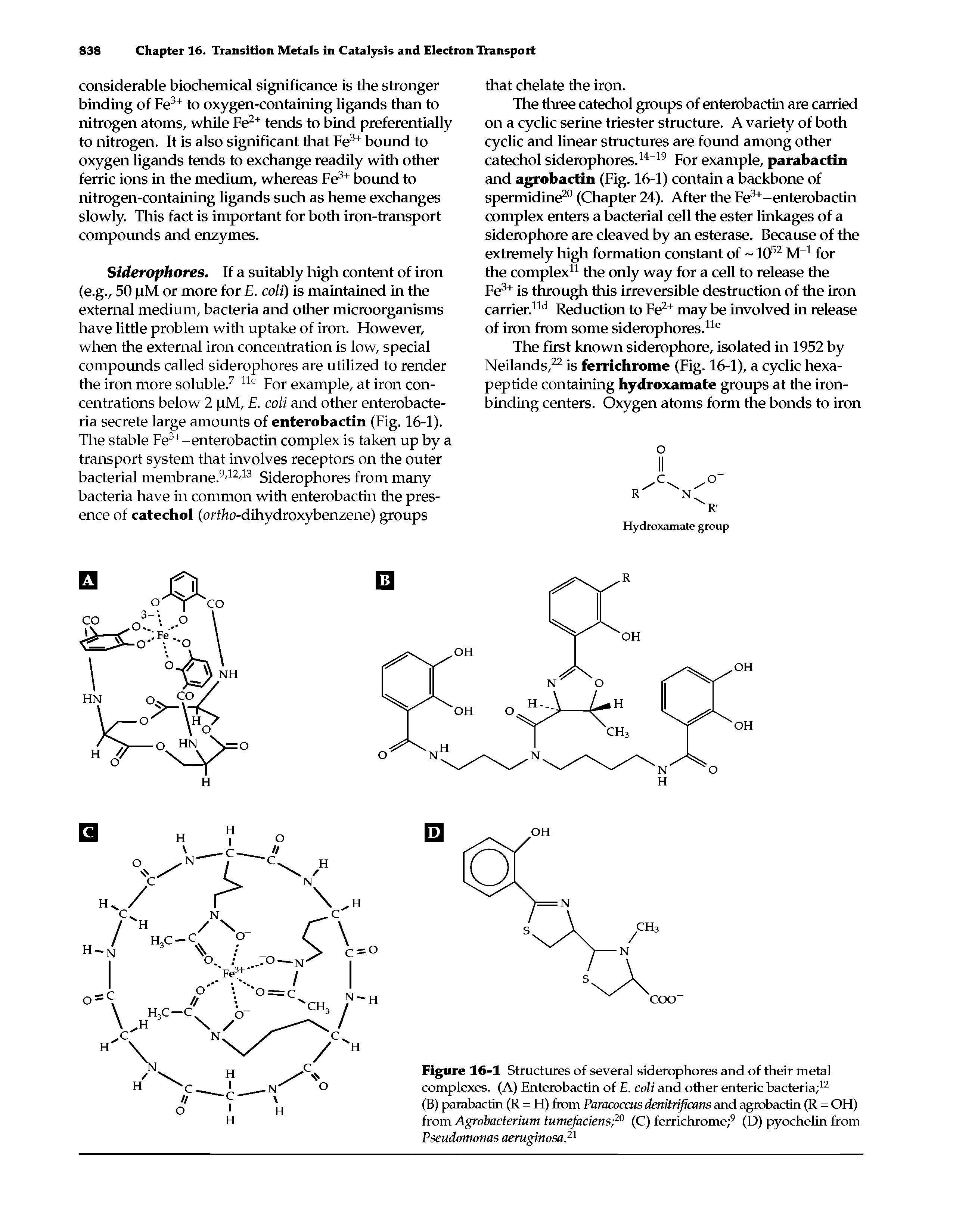 Figure 16-1 Structures of several siderophores and of their metal complexes. (A) Enterobactin of E. coli and other enteric bacteria 12 (B) parabactin (R = H) from Paracoccus denitrijkans and agrobactin (R = OH) from Agrobacterium tumefaciens 20 (C) ferrichrome 9 (D) pyochelin from Pseudomonas aeruginosa.21...