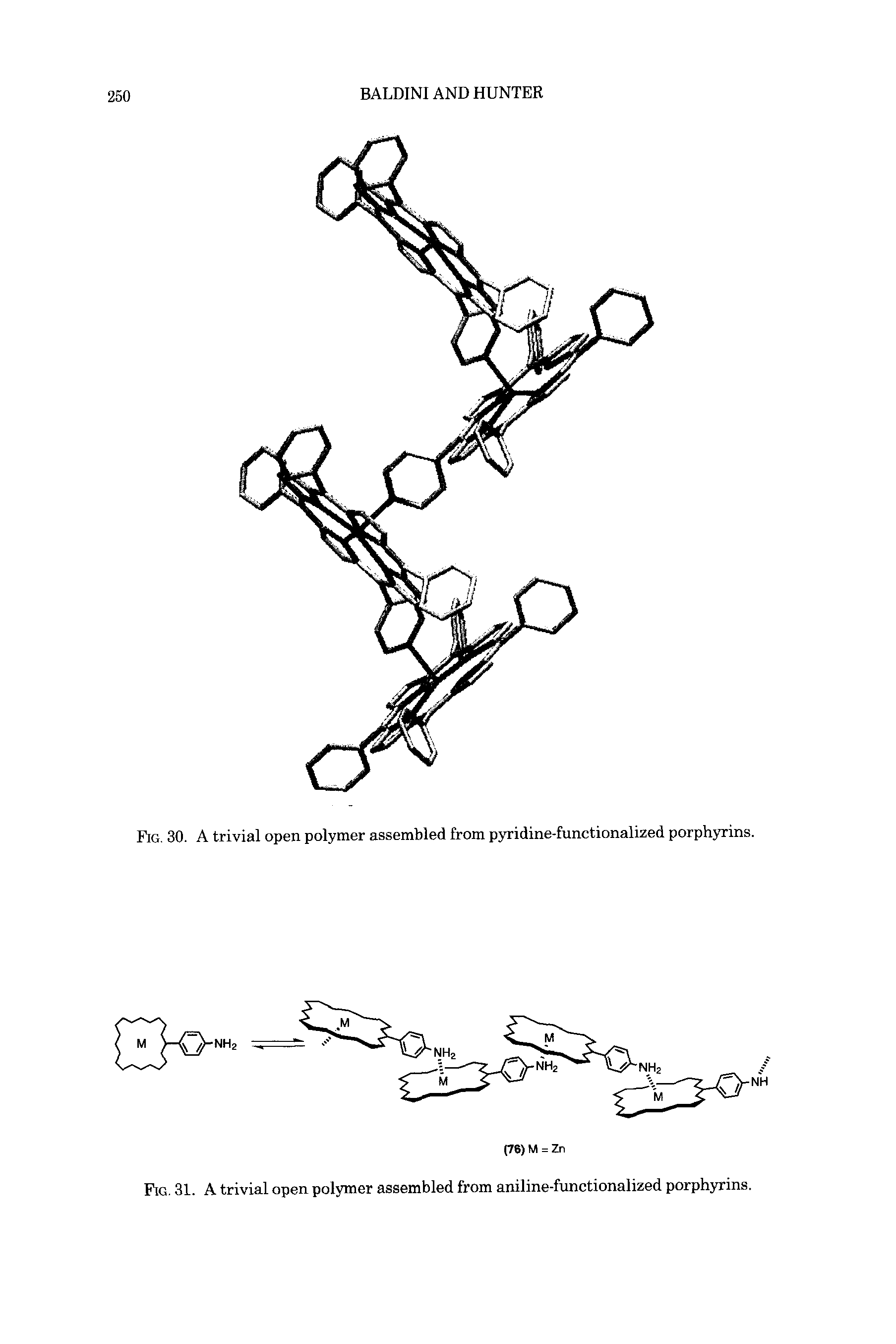 Fig. 30. A trivial open polymer assembled from pyridine-functionalized porphyrins.