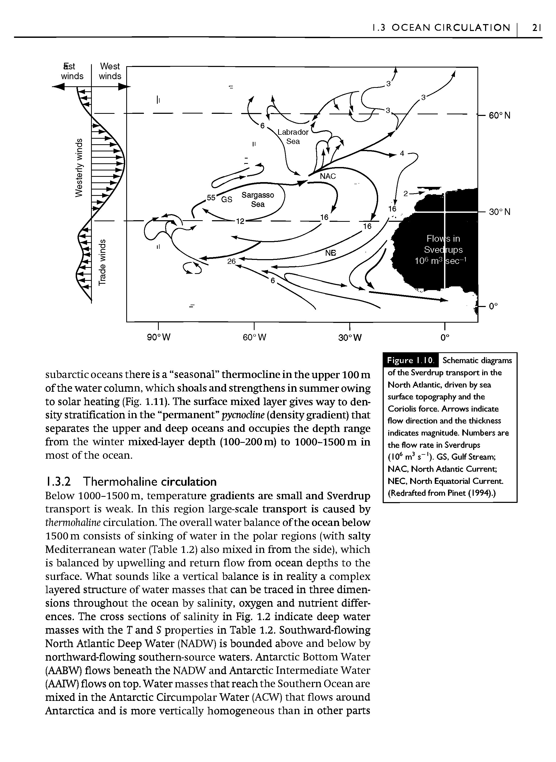 Schematic diagrams of the Sverdrup transport in the North Atlantic, driven by sea surface topography and the Coriolis force. Arrows indicate flow direction and the thickness indicates magnitude. Numbers are the flow rate in Sverdrups (10 m s ). GS, Gulf Stream NAC, North Atlantic Current NEC, North Equatorial Current. (Redrafted from Pinet (1994).)...