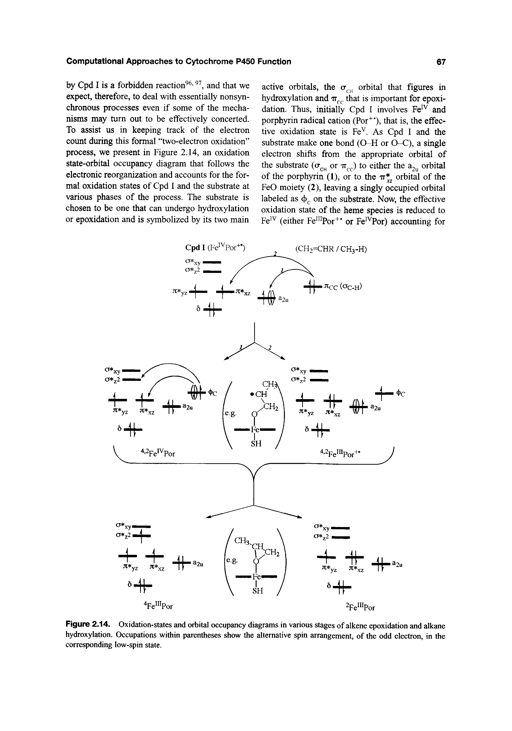 Figure 2.14. Oxidation-states and orbital occupancy diagrams in various stages of alkene epoxidation and alkane hydroxylation. Occupations within parentheses show the alternative spin arrangement, of the odd electron, in the corresponding low-spin state.