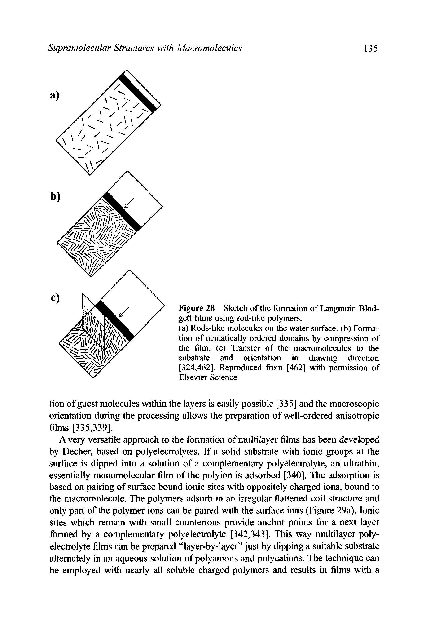 Figure 28 Sketch of the formation of Langmuir Blodgett films using rod-like polymers.