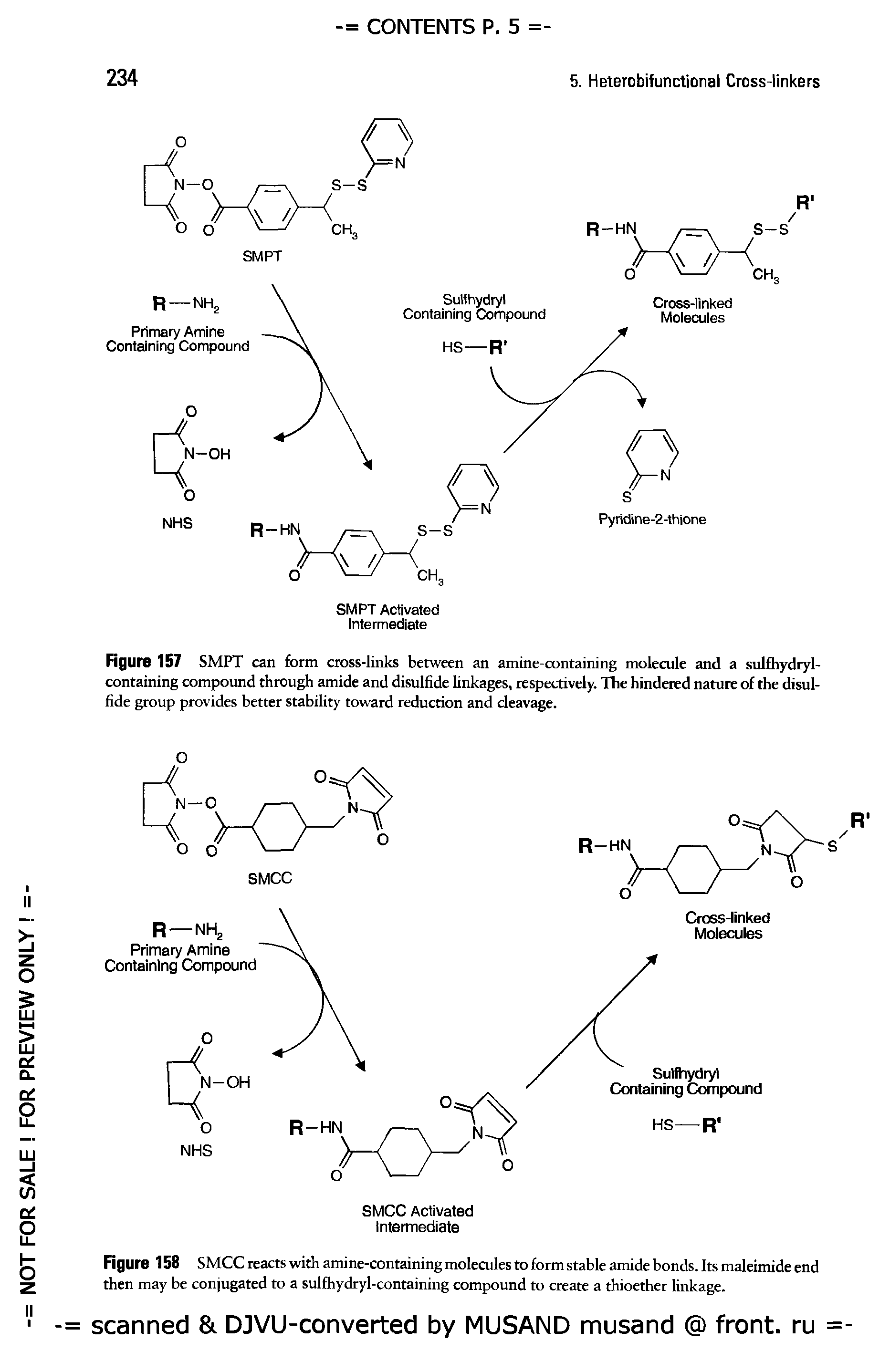 Figure 157 SMPT can form cross-links between an amine-containing molecule and a sulfhydryl-containing compound through amide and disulfide linkages, respectively. The hindered nature of the disulfide group provides better stability toward reduction and cleavage.