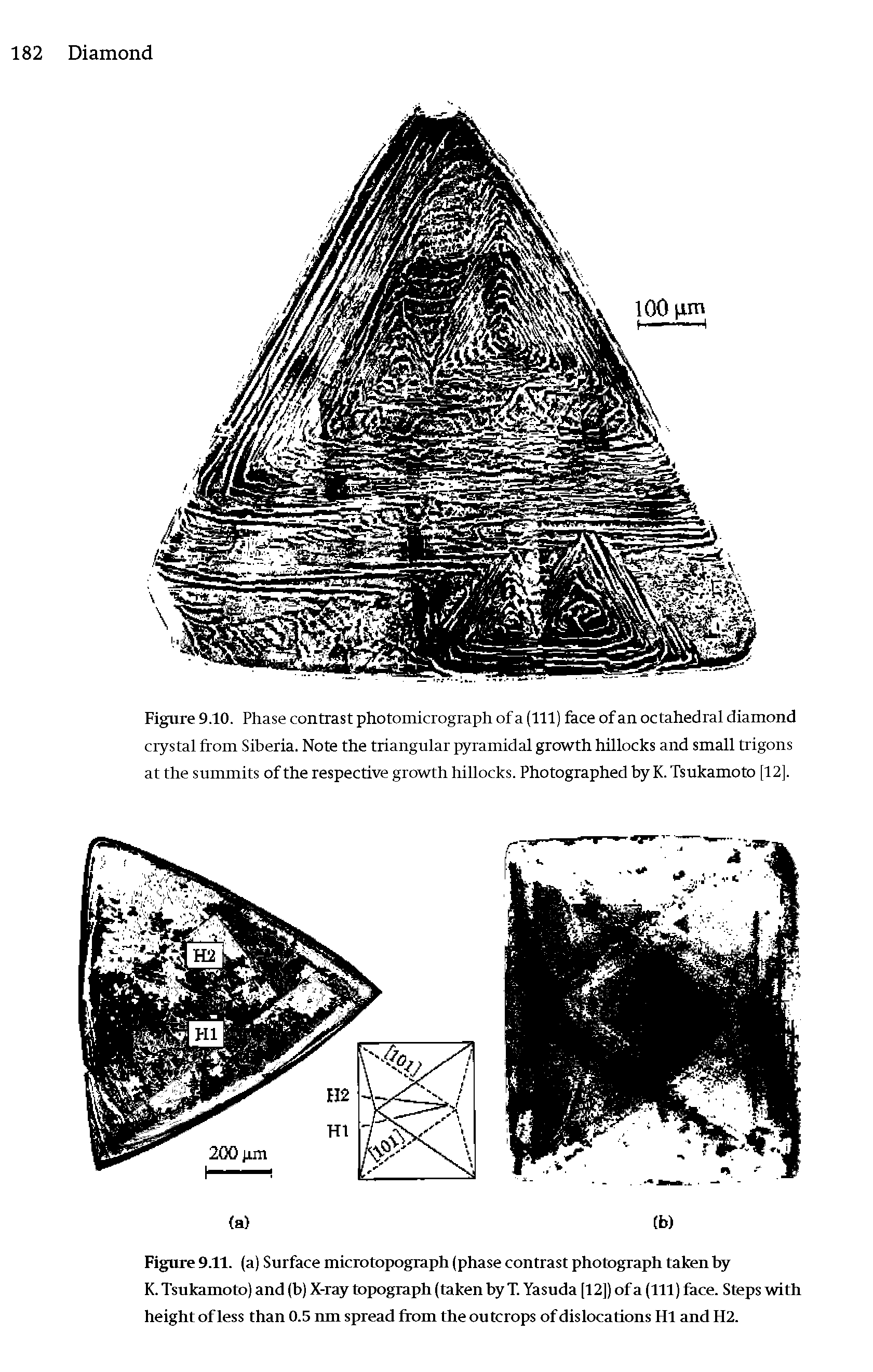 Figure 9.10. Phase contrast photomicrograph of a (111) face ofan octahedral diamond crystal from Siberia. Note the triangular pyramidal growth hillocks and small trigons at the summits of the respective growth hillocks. Photographed by K. Tsukamoto [12].