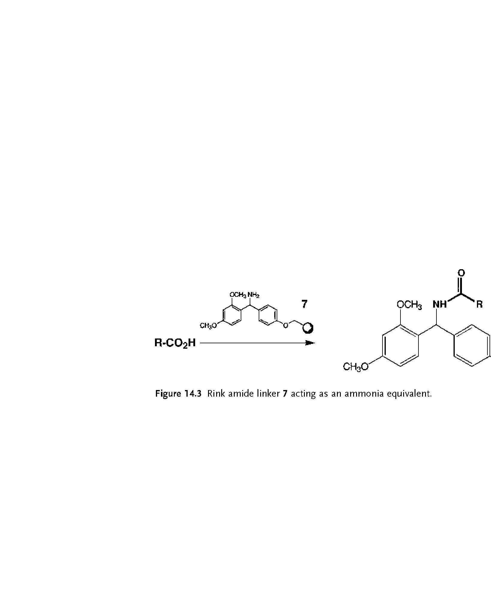 Figure 14.3 Rink amide linker 7 acting as an ammonia equivalent.