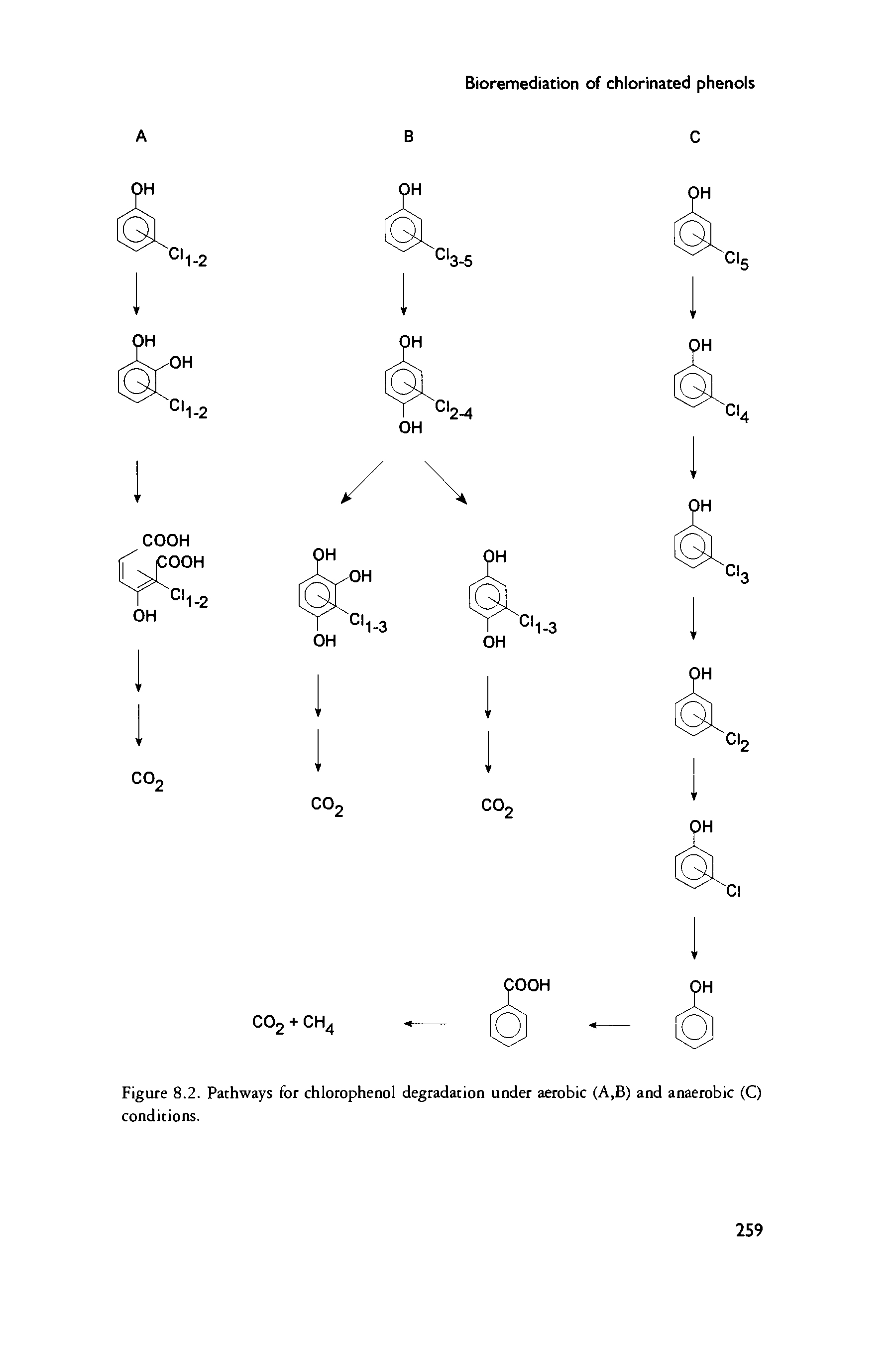 Figure 8.2. Pathways for chlorophenol degradation under aerobic (A,B) and anaerobic (C) conditions.