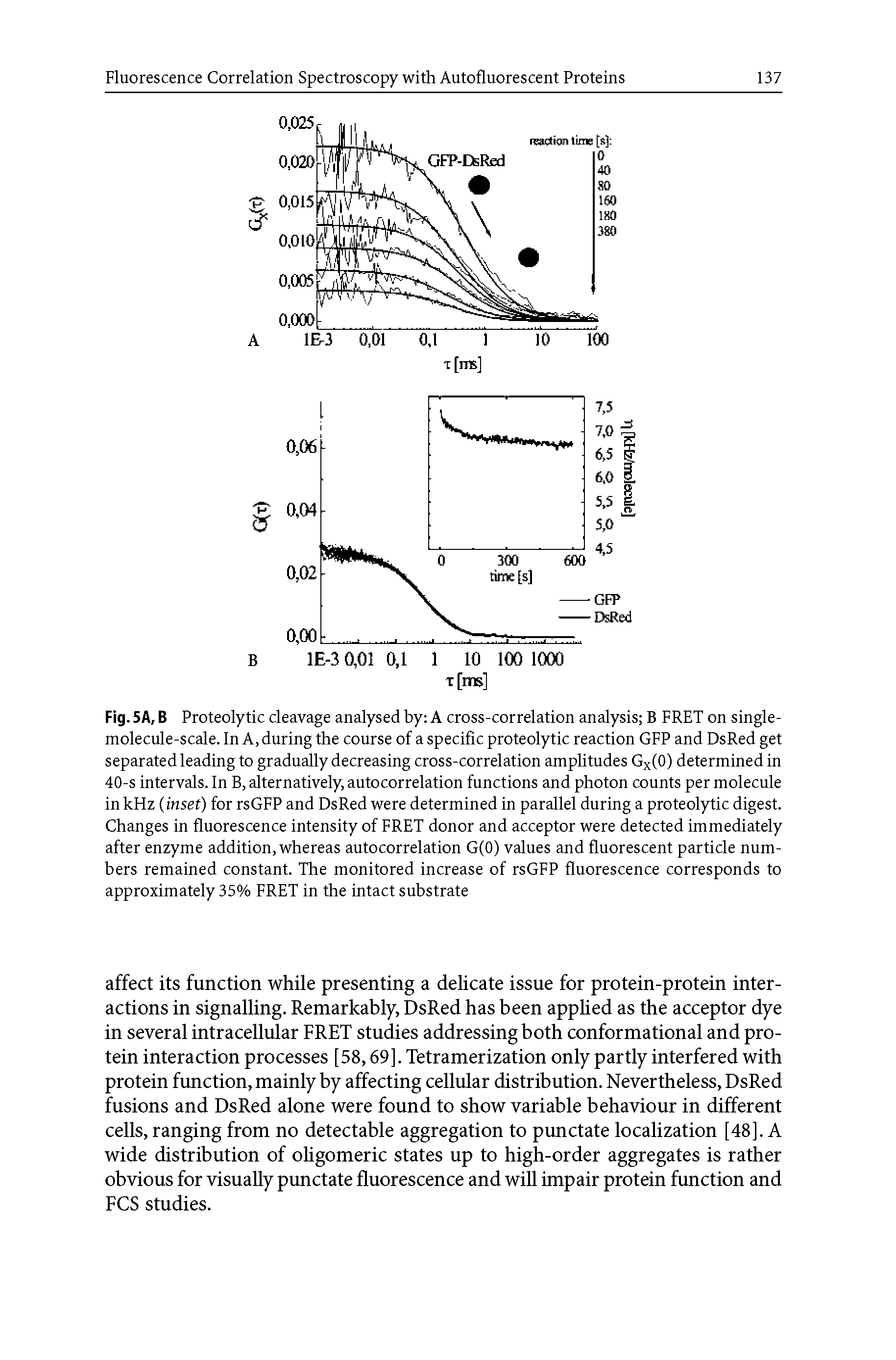Fig. 5A, B Proteolytic cleavage analysed by A cross-correlation analysis B FRET on single-molecule-scale. In A, during the course of a specific proteolytic reaction GFP and DsRed get separated leading to gradually decreasing cross-correlation amplitudes Gx(0) determined in 40-s intervals, in B, alternatively, autocorrelation functions and photon counts per molecule in kHz (inset) for rsGFP and DsRed were determined in parallel during a proteolytic digest. Changes in fluorescence intensity of FRET donor and acceptor were detected immediately after enzyme addition, whereas autocorrelation G(0) values and fluorescent particle numbers remained constant. The monitored increase of rsGFP fluorescence corresponds to approximately 35% FRET in the intact substrate...