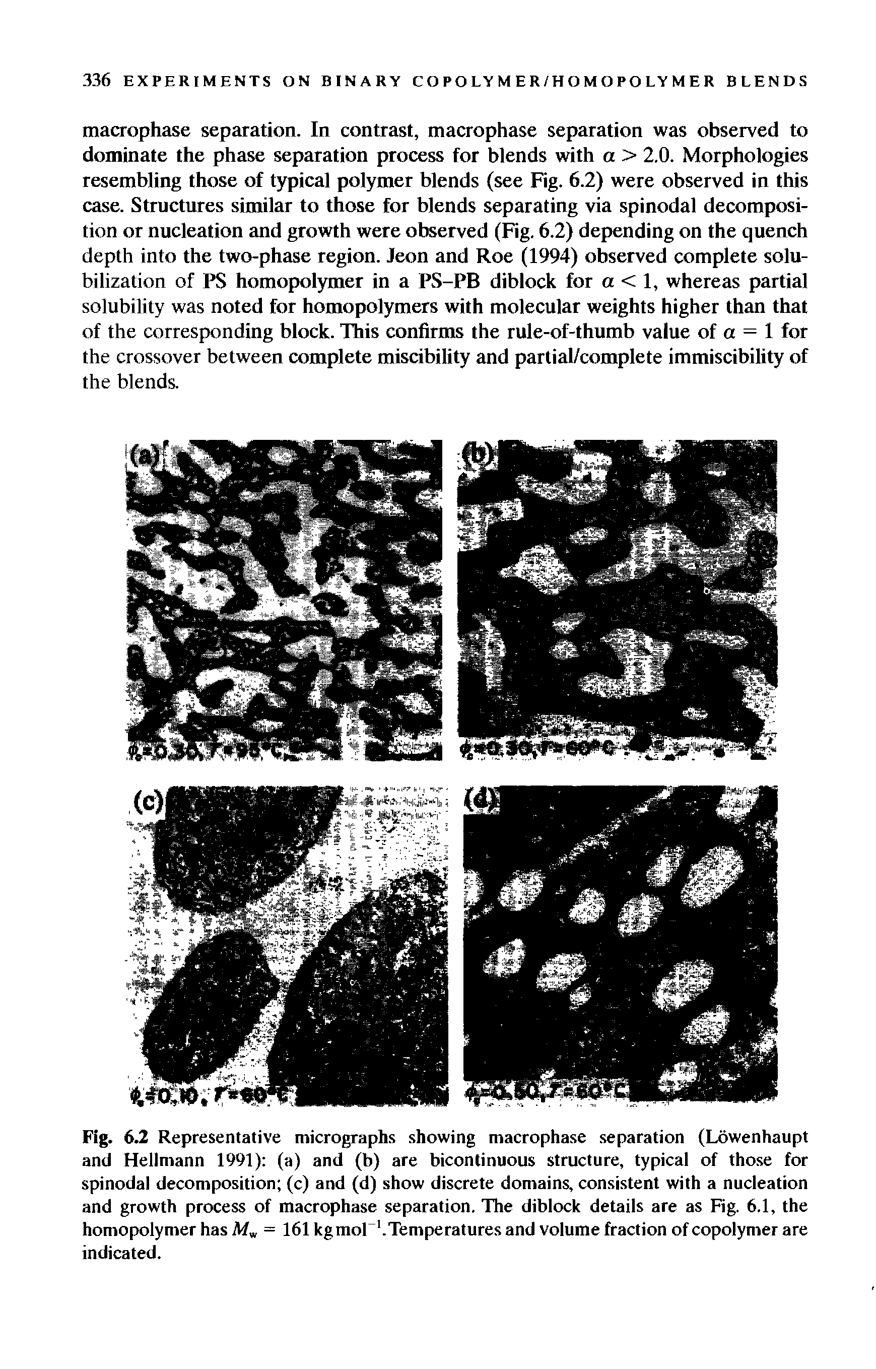 Fig. 6.2 Representative micrographs showing macrophase separation (Lowenhaupt and Hellmann 1991) (a) and (b) are bicontinuous structure, typical of those for spinodal decomposition (c) and (d) show discrete domains, consistent with a nucleation and growth process of macrophase separation. The diblock details are as Fig. 6.1, the homopolymer has A/w = 161 kg mol-1. Temperatures and volume fraction of copolymer are indicated.