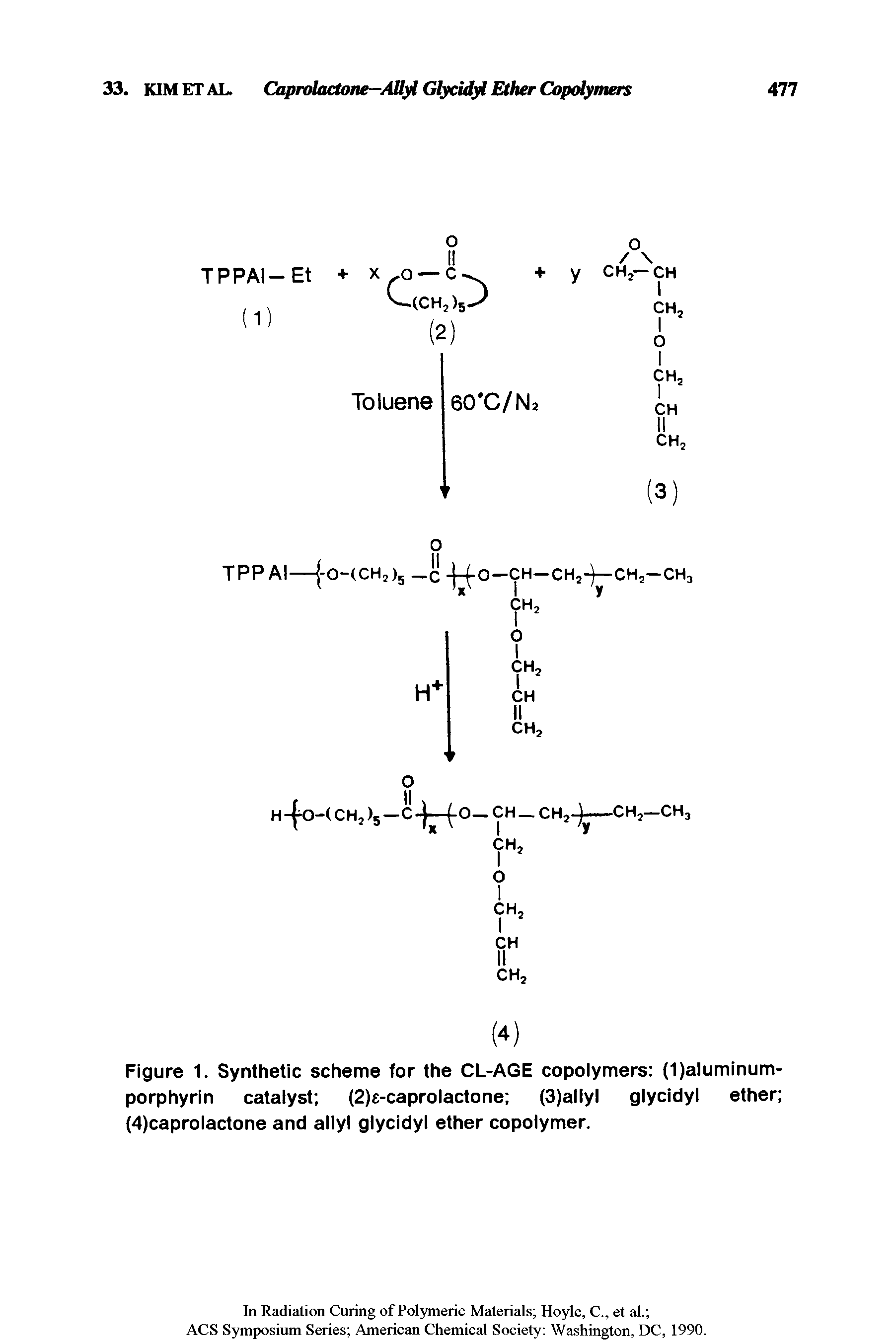 Figure 1. Synthetic scheme for the CL-AGE copolymers (1)aluminum-porphyrin catalyst (2)e-caprolactone (3)allyl glycidyl ether (4)caprolactone and allyl glycidyl ether copolymer.