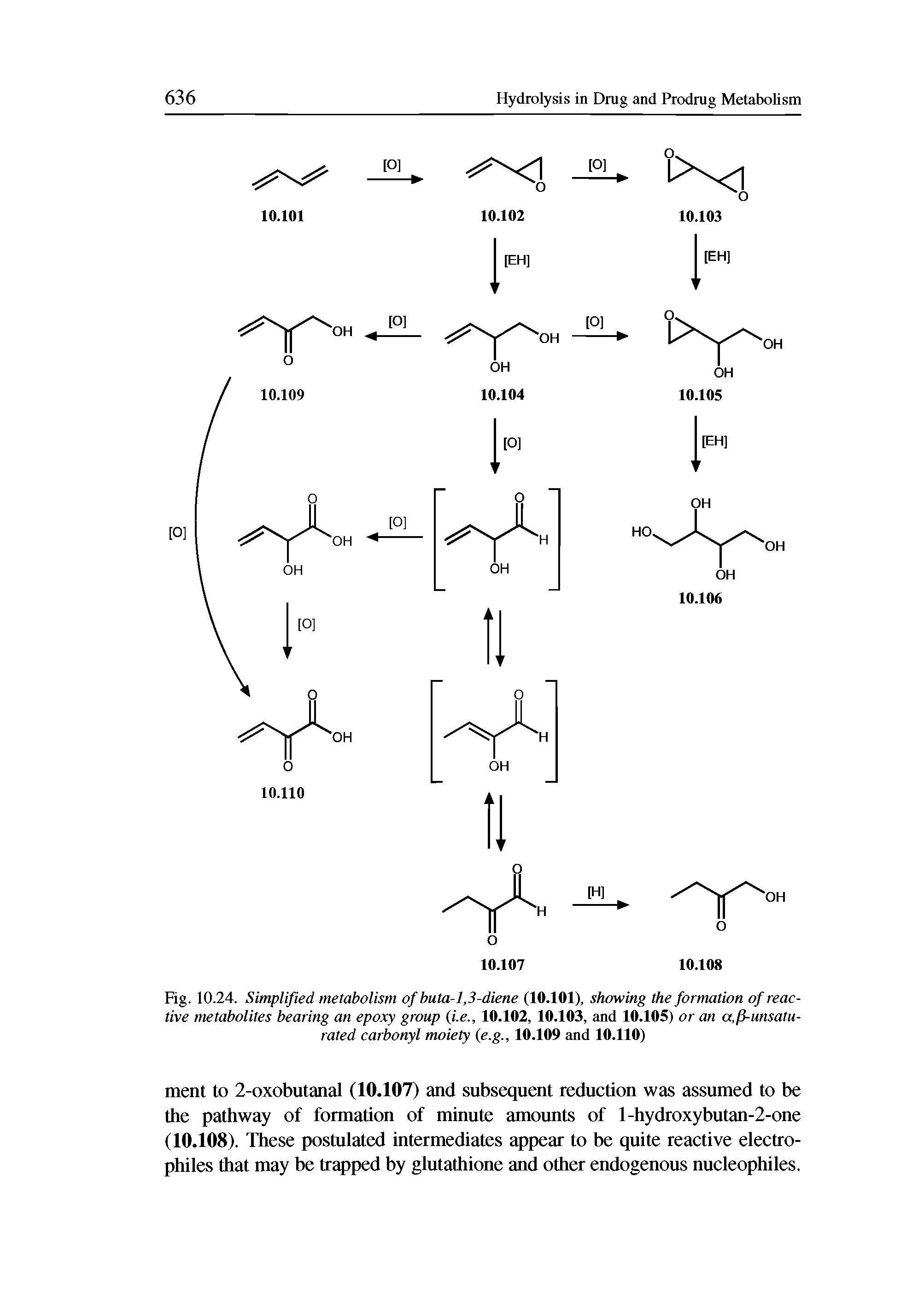 Fig. 10.24. Simplified metabolism of buta-1,3-diene (10.101), showing the formation of reactive metabolites bearing an epoxy group (i.e., 10.102, 10.103, and 10.105) or an a,(5-unsatu-rated carbonyl moiety (e.g., 10.109 and 10.110)...