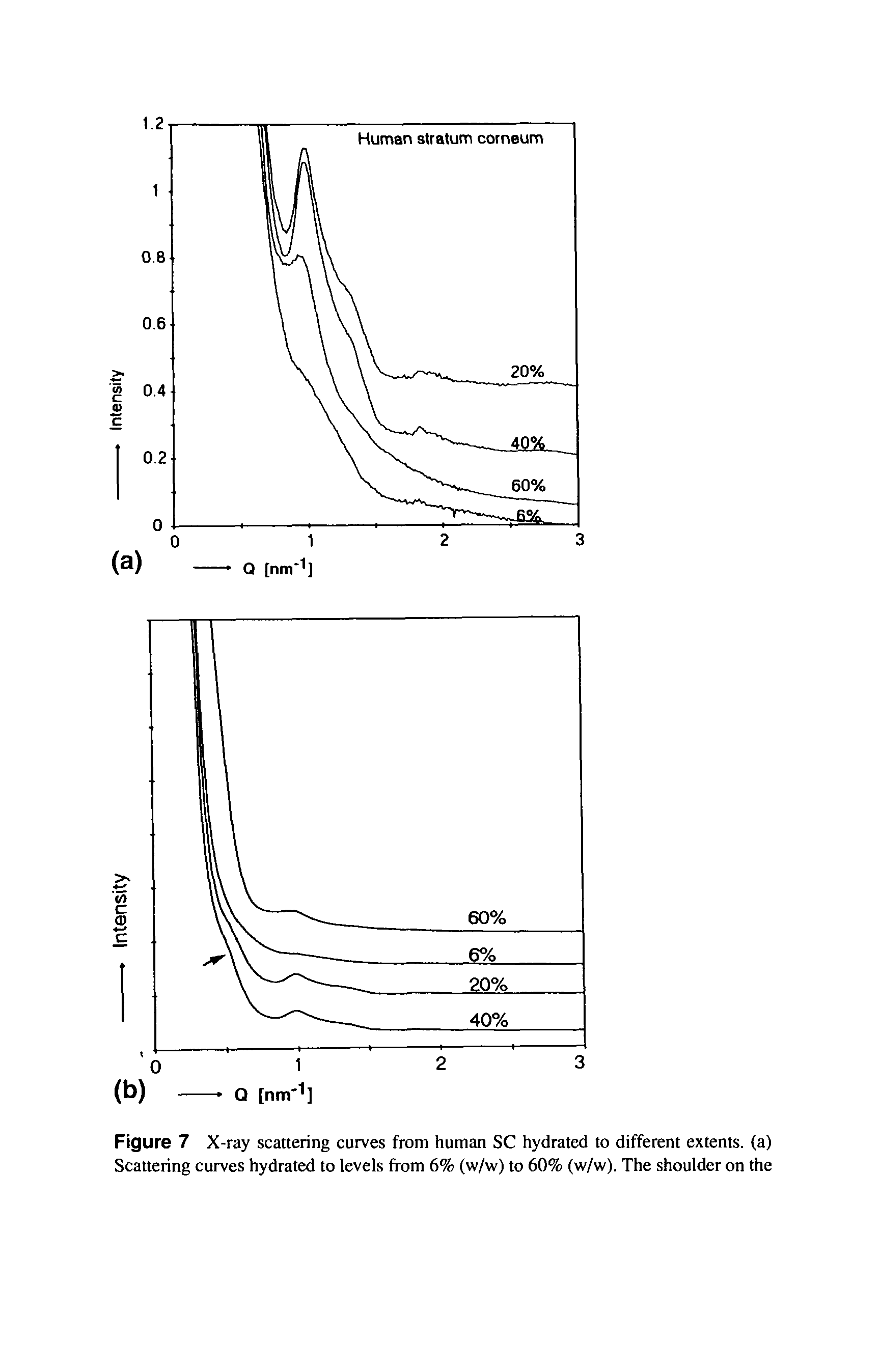 Figure 7 X-ray scattering curves from human SC hydrated to different extents, (a) Scattering curves hydrated to levels from 6% (w/w) to 60% (w/w). The shoulder on the...