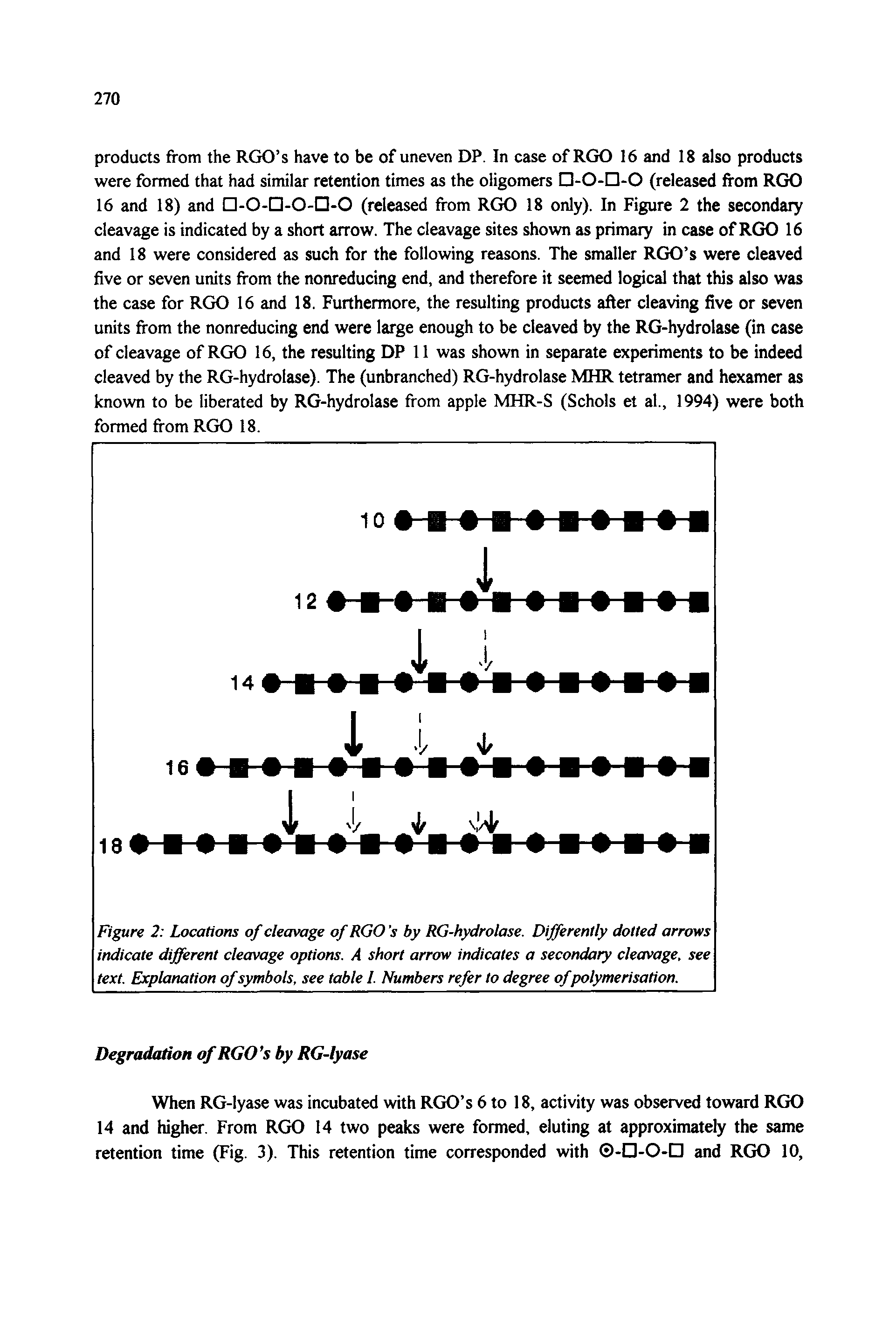 Figure 2 Locations of cleavage of RGO s by RG-hydrolase. Differently dotted arrows indicate different cleavage options. A short arrow indicates a secondary cleavage, see text. Explanation of symbols, see table 1. Numbers refer to degree of polymerisation.