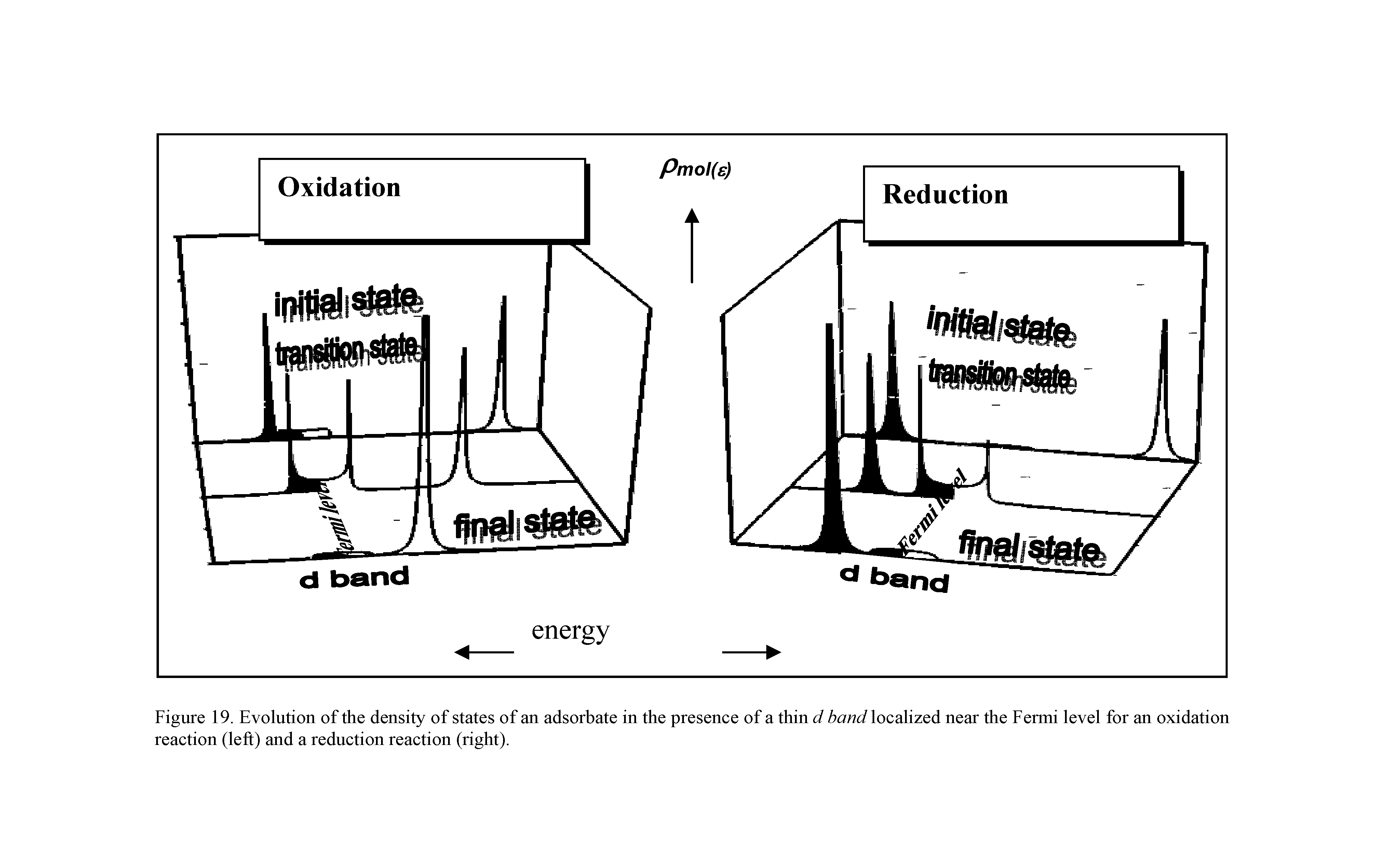 Figure 19. Evolution of the density of states of an adsorbate in the presenee of a thin d band loealized near the Fermi level for an oxidation reaetion (left) and a reduetion reaetion (right).